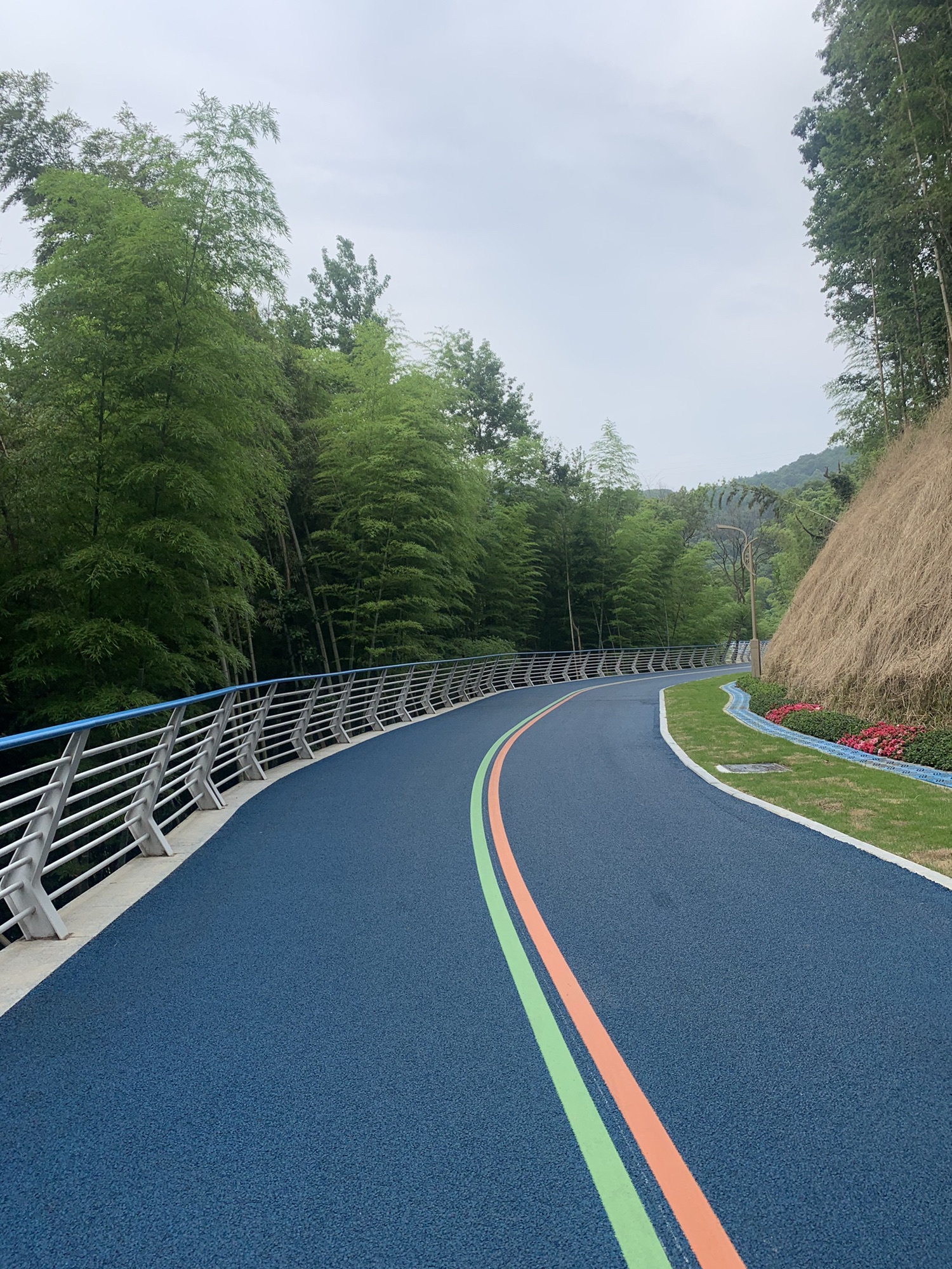 长岗山森林公园旅行图片 2