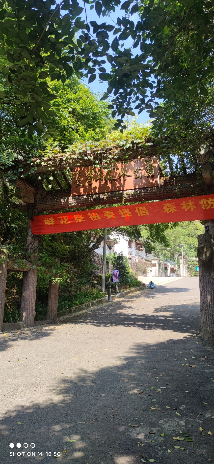 长岗山森林公园旅行图片 1
