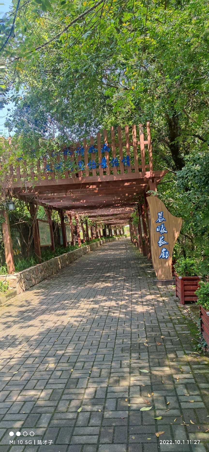 长岗山森林公园旅行图片 2