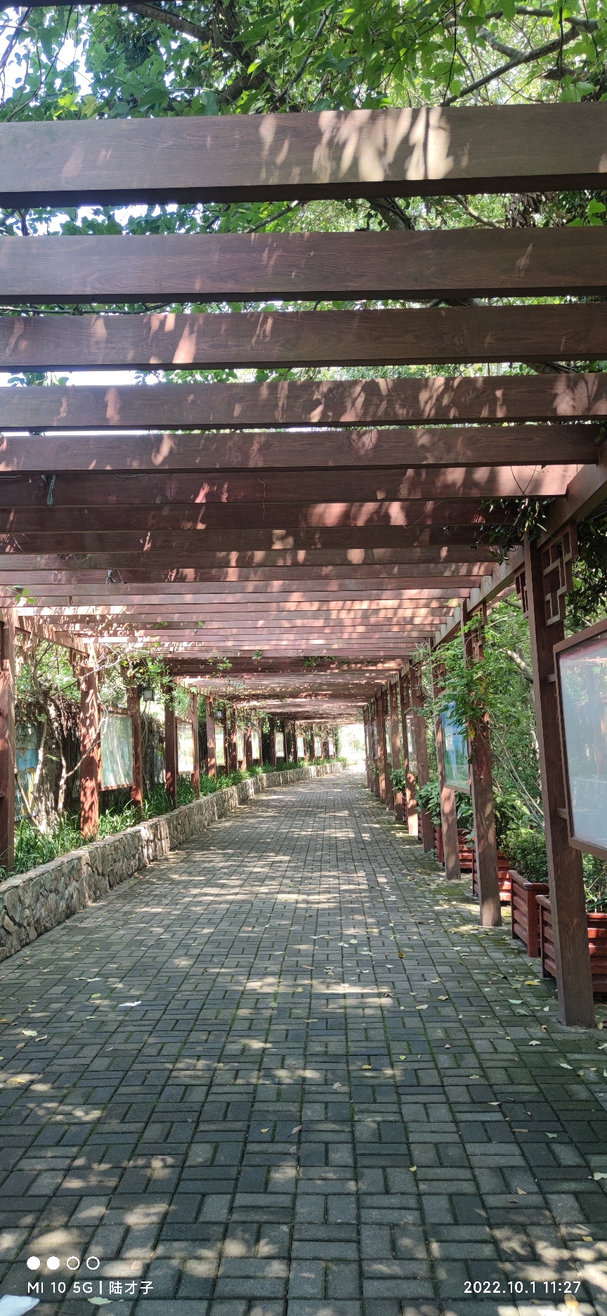 长岗山森林公园旅行图片 3