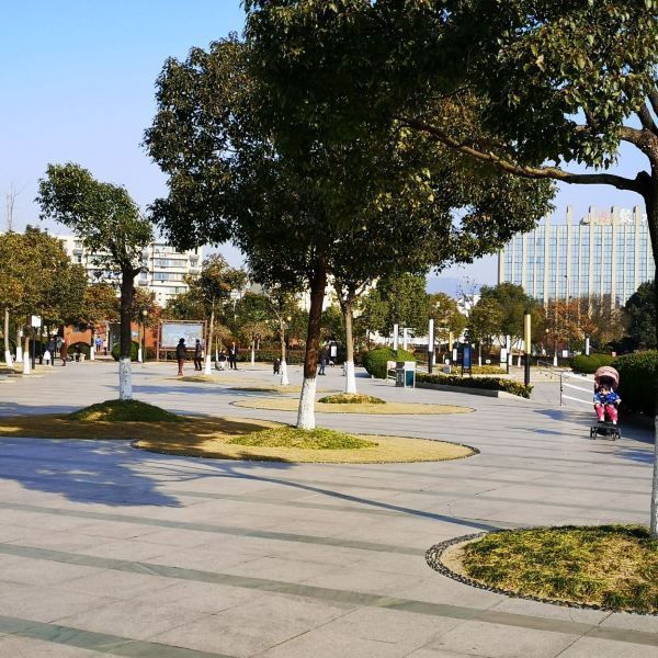 浦西公园旅行图片 1
