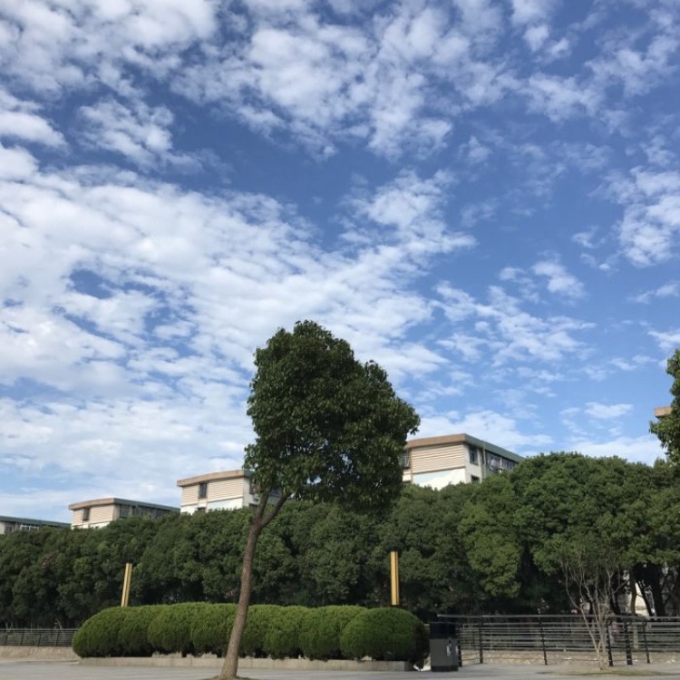 浦西公园旅行图片 1