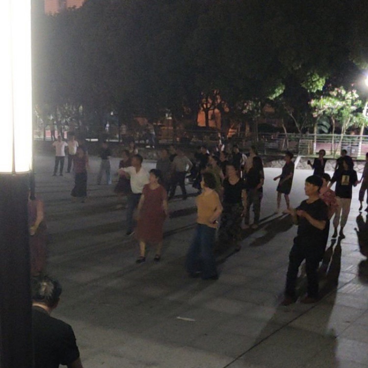 浦西公园旅行图片 2