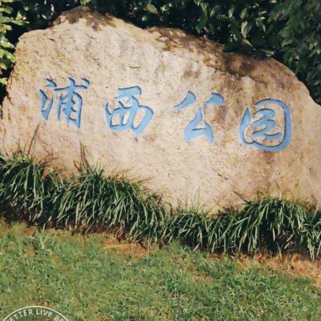 浦西公园