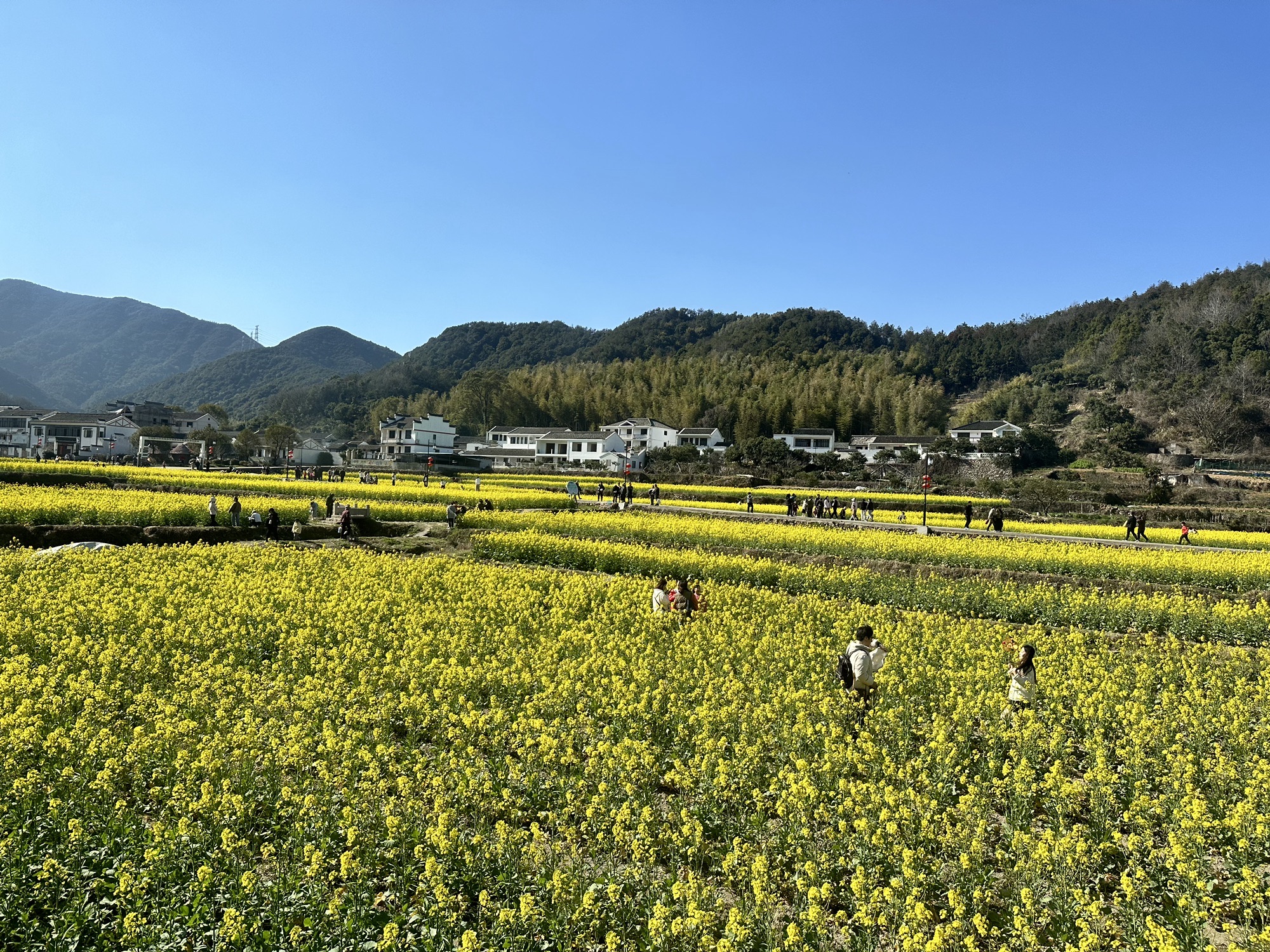 南洞艺谷旅行图片 2