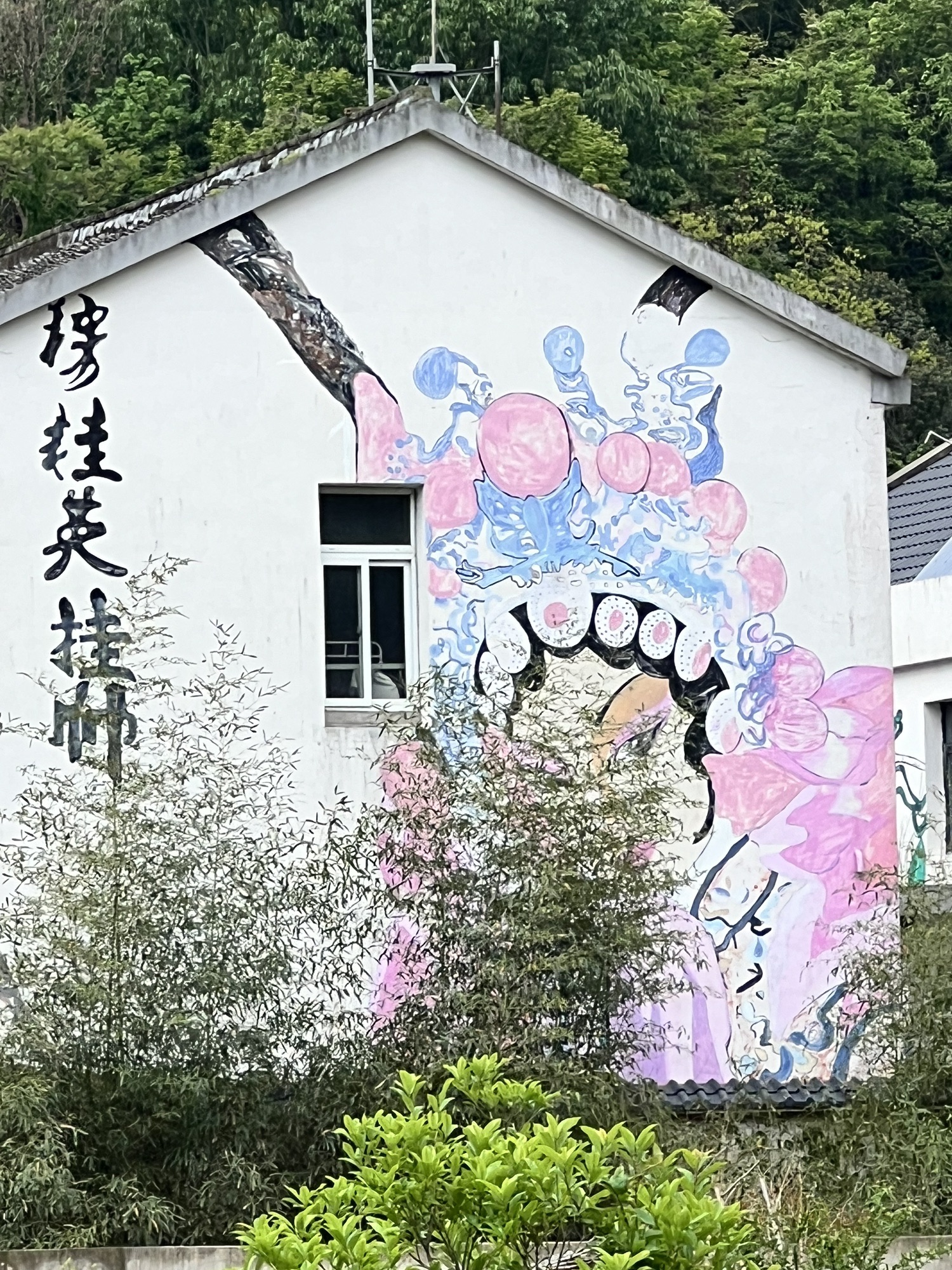 南洞艺谷旅行图片 2