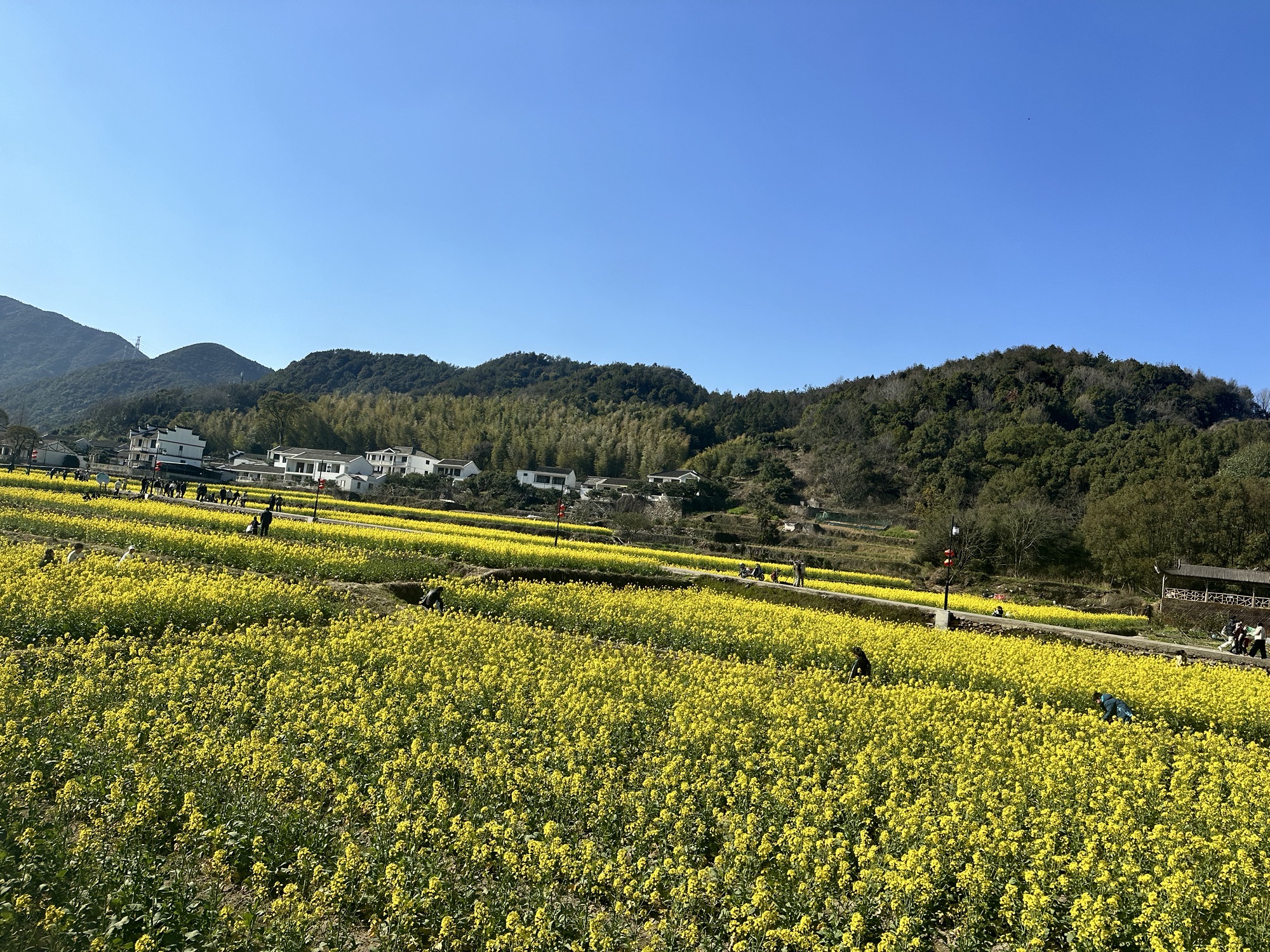 南洞艺谷旅行图片 3