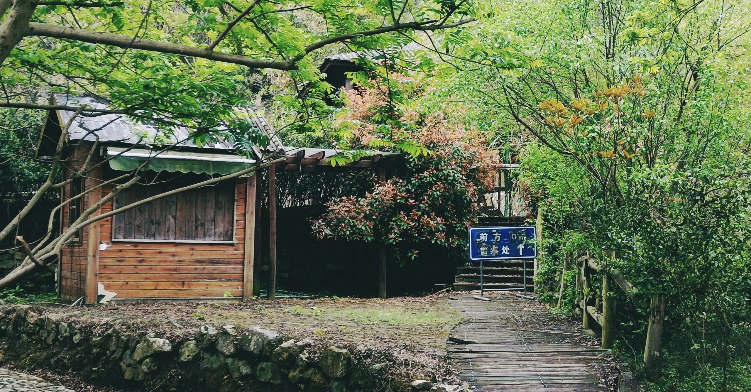 东海大峡谷国家森林公园之茶人谷生态旅游区旅行图片 1