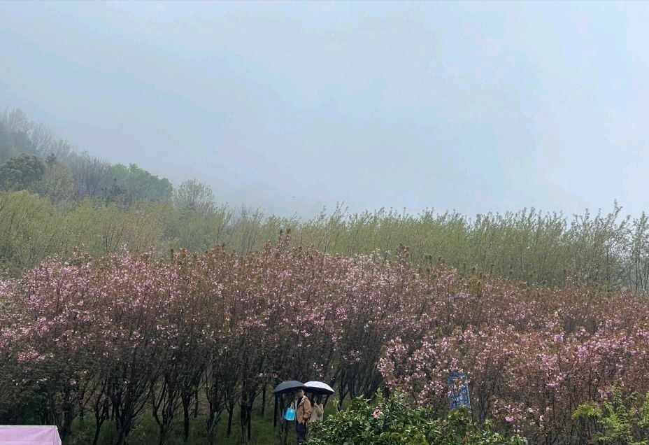 小沙旅游区旅行图片 1