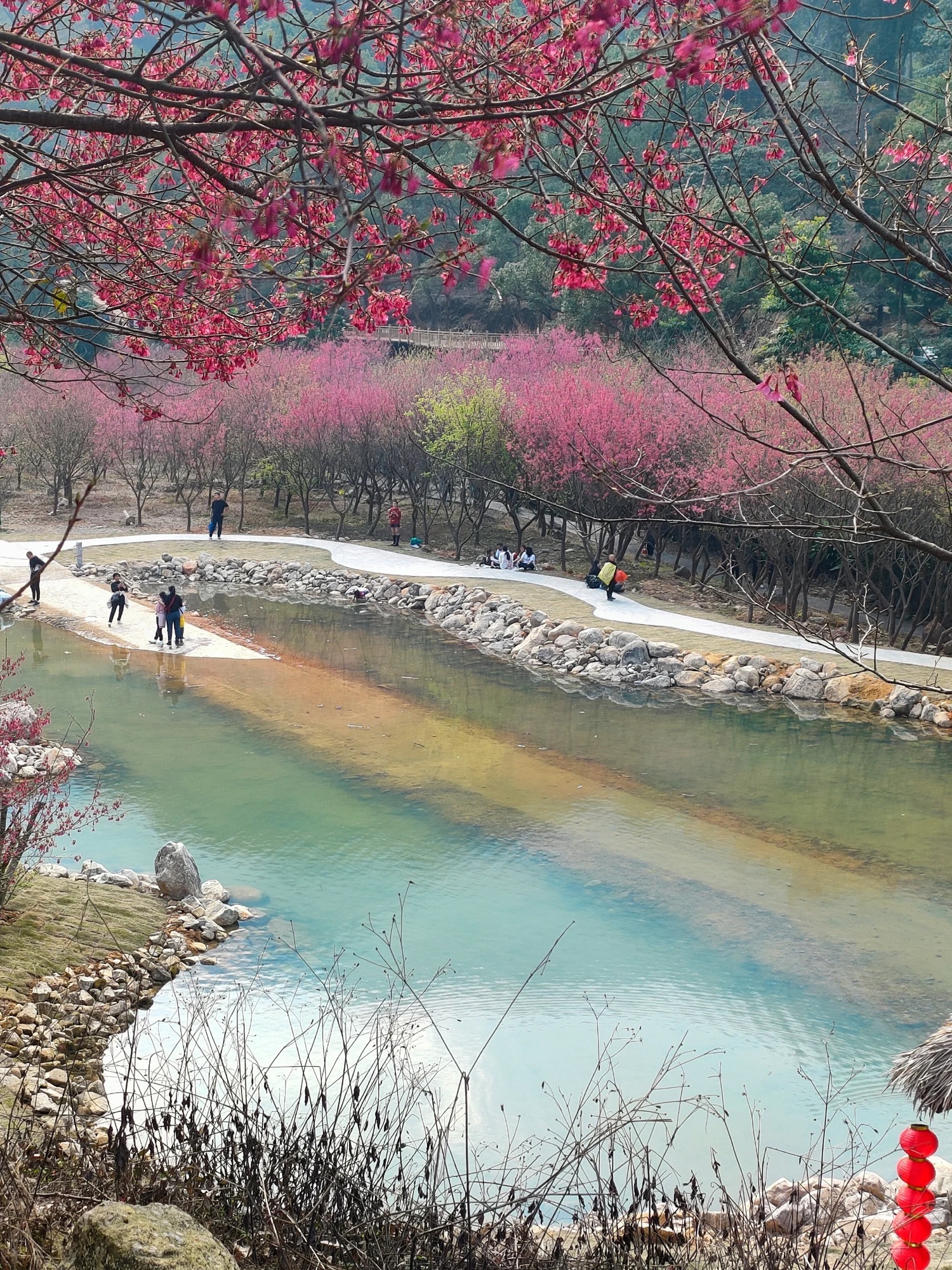 灵石山国家森林公园旅行图片