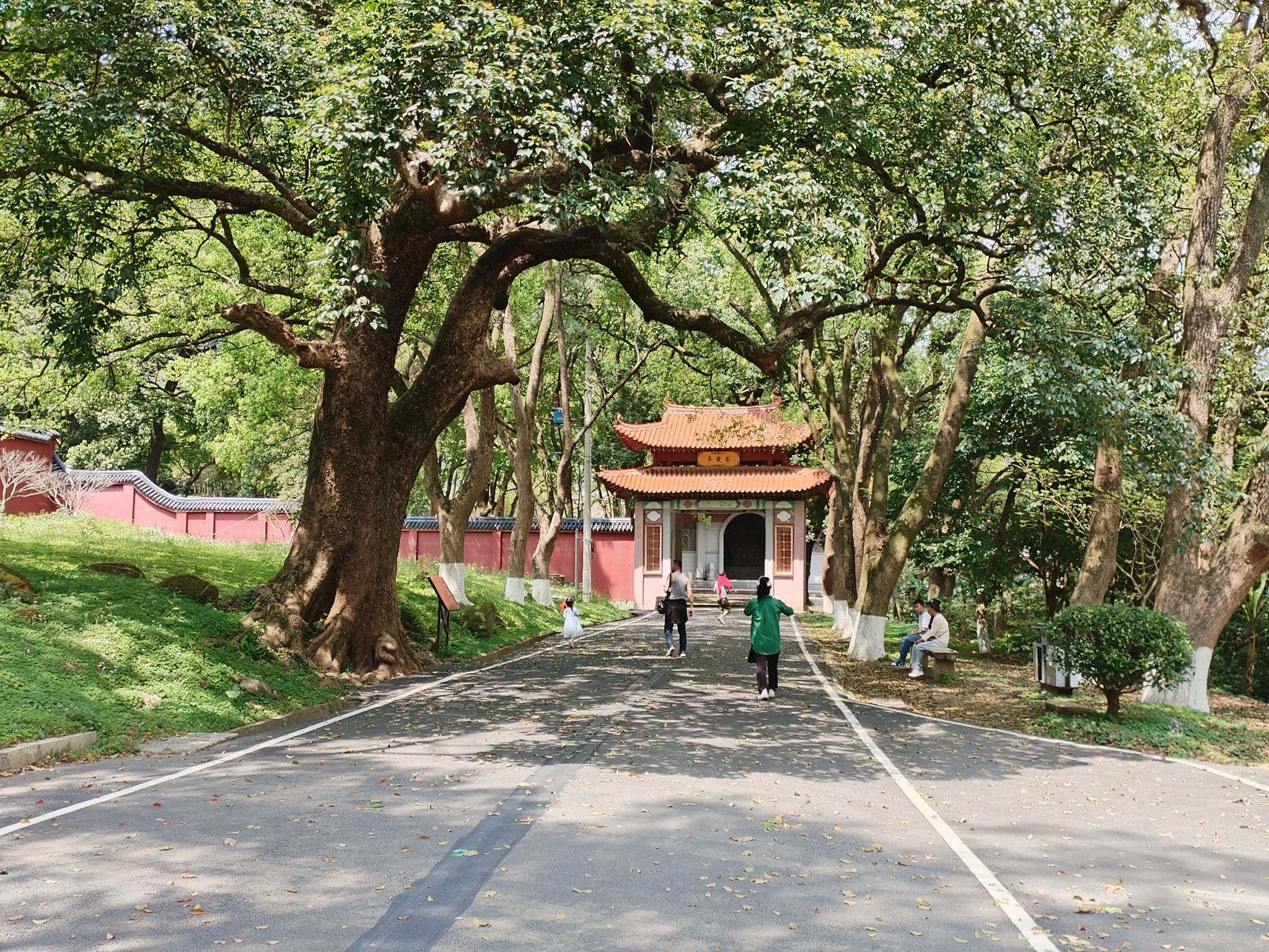 灵石山国家森林公园旅行图片