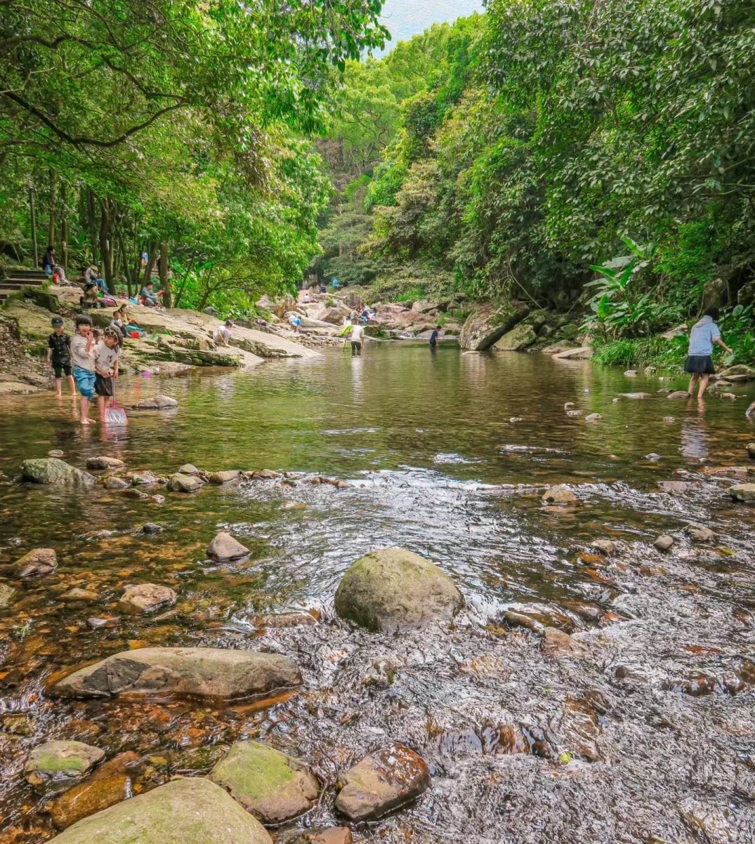 灵石山国家森林公园旅行图片 2