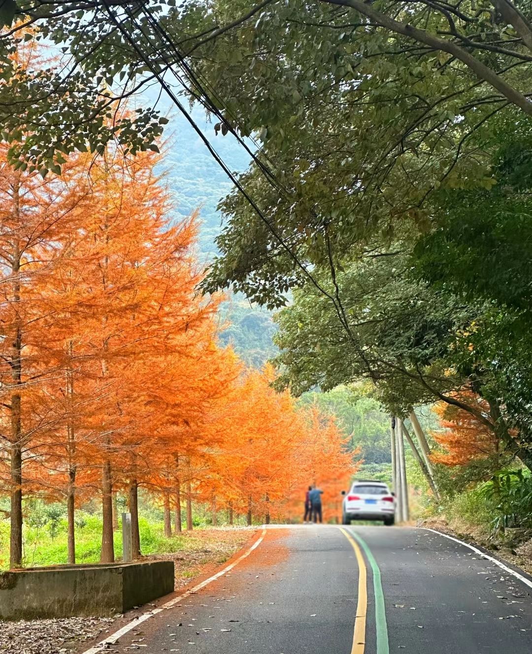 灵石山国家森林公园旅行图片