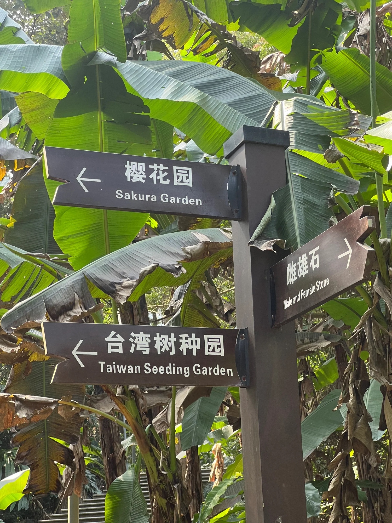 灵石山国家森林公园旅行图片 3