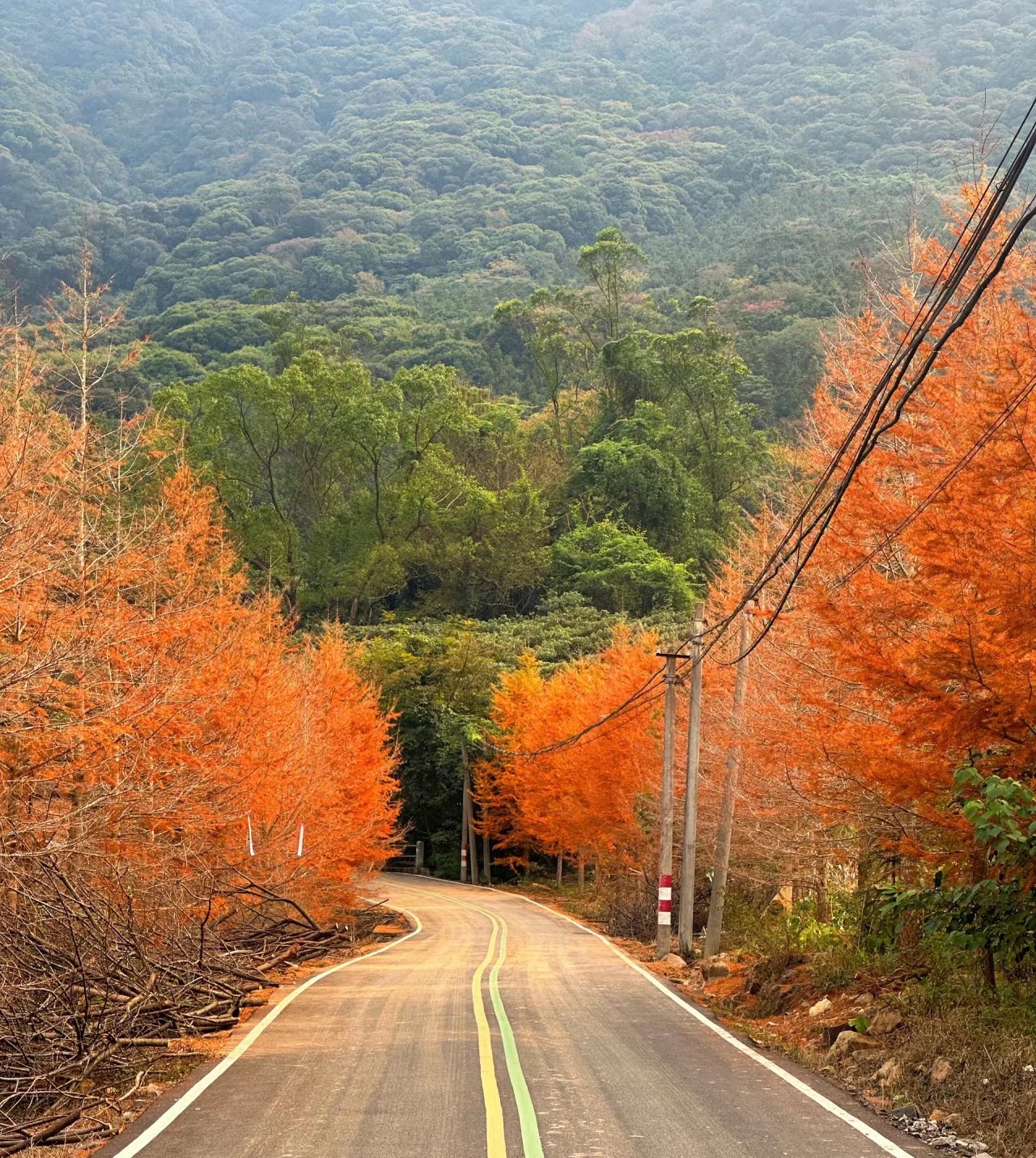 灵石山国家森林公园旅行图片 3