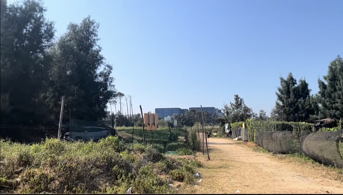 大鹤省级森林公园旅行图片 1