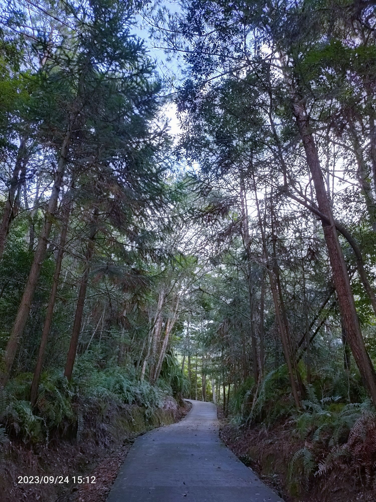 姬岩风景区旅行图片 2