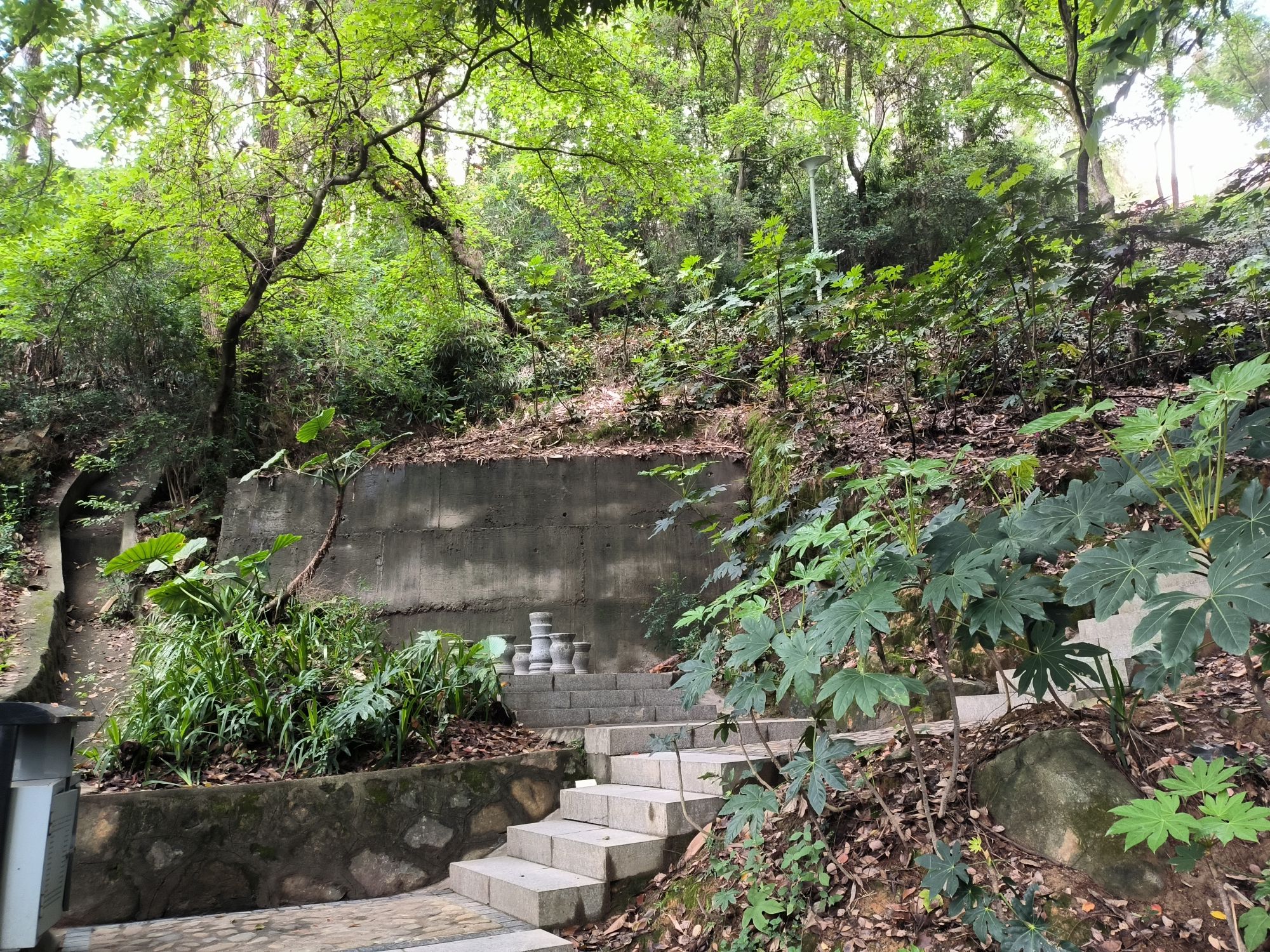 台山公园旅行图片 2