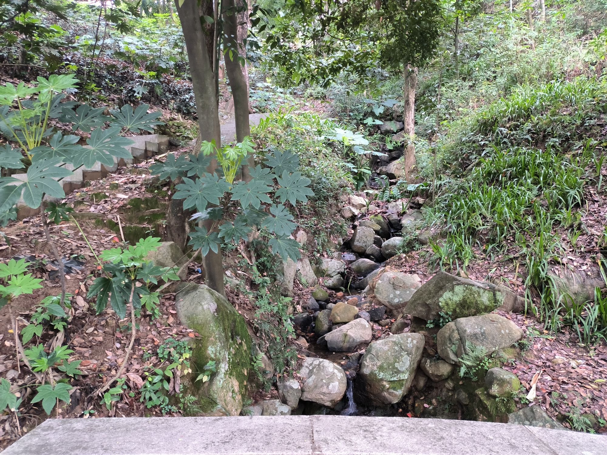 台山公园旅行图片 1