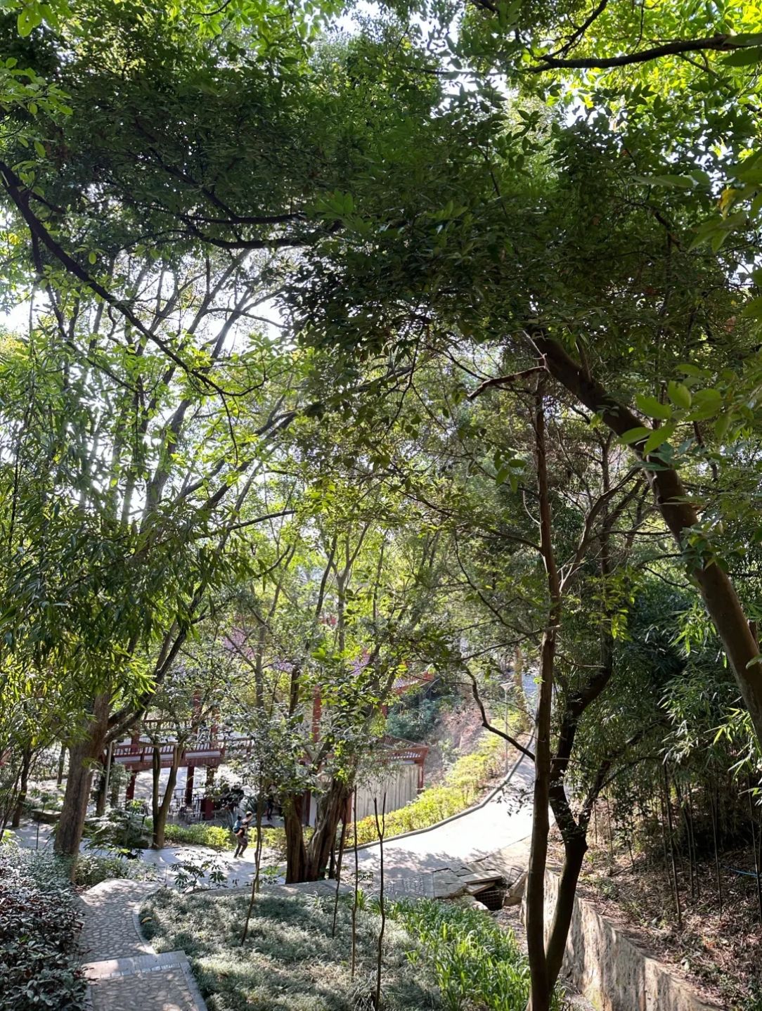 台山公园旅行图片 1