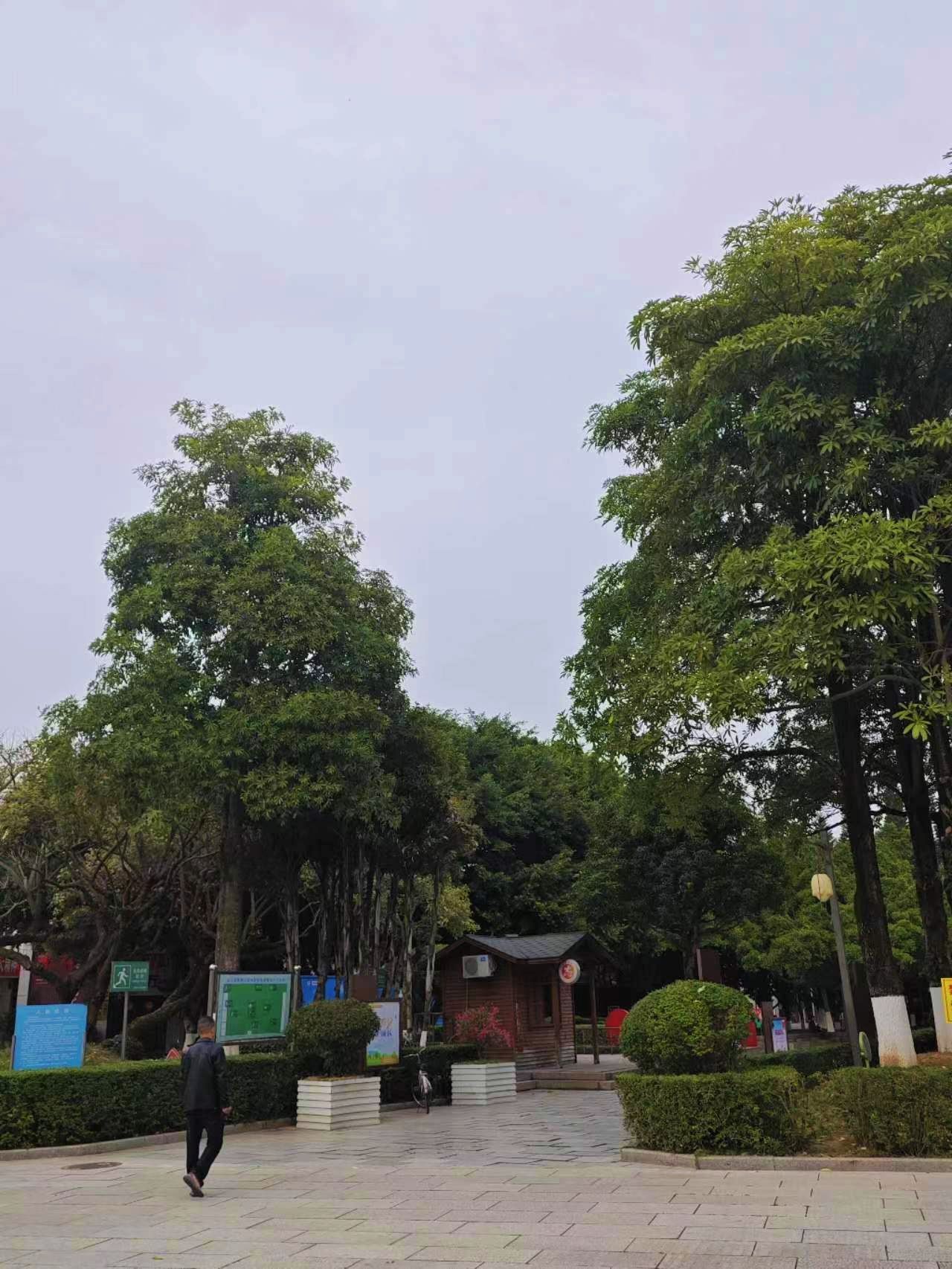 陈第公园旅行图片 2