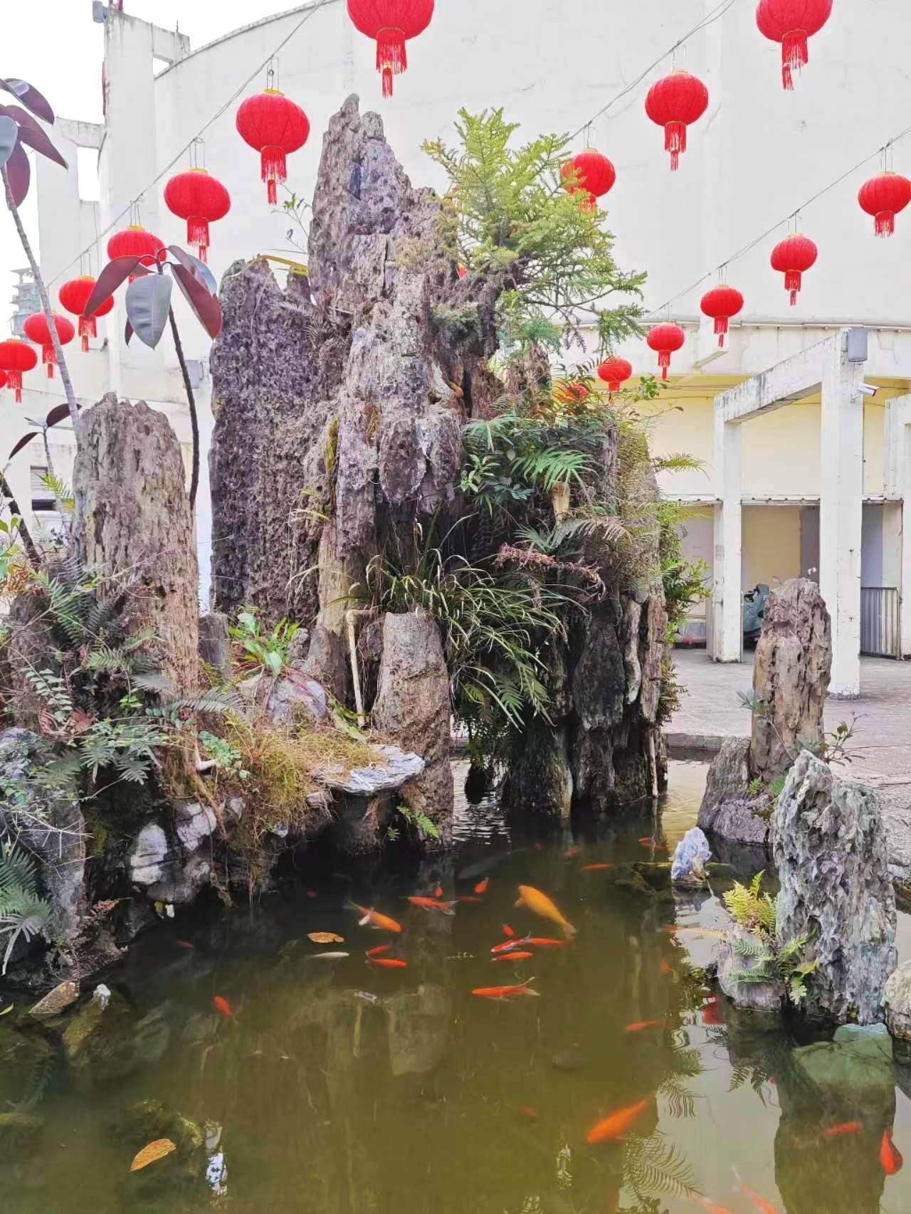 陈第公园旅行图片 3