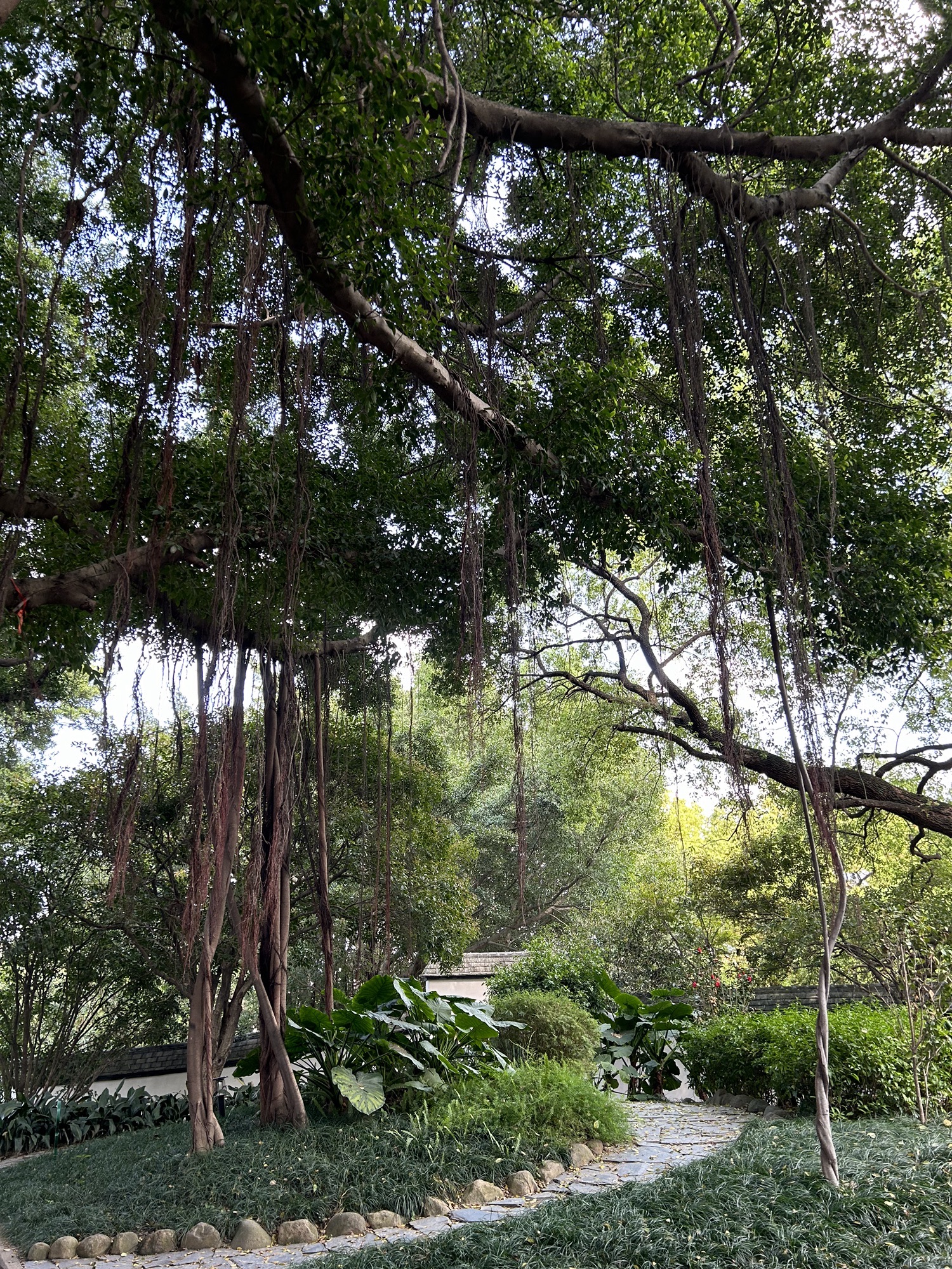 乌山历史风貌区旅行图片 3