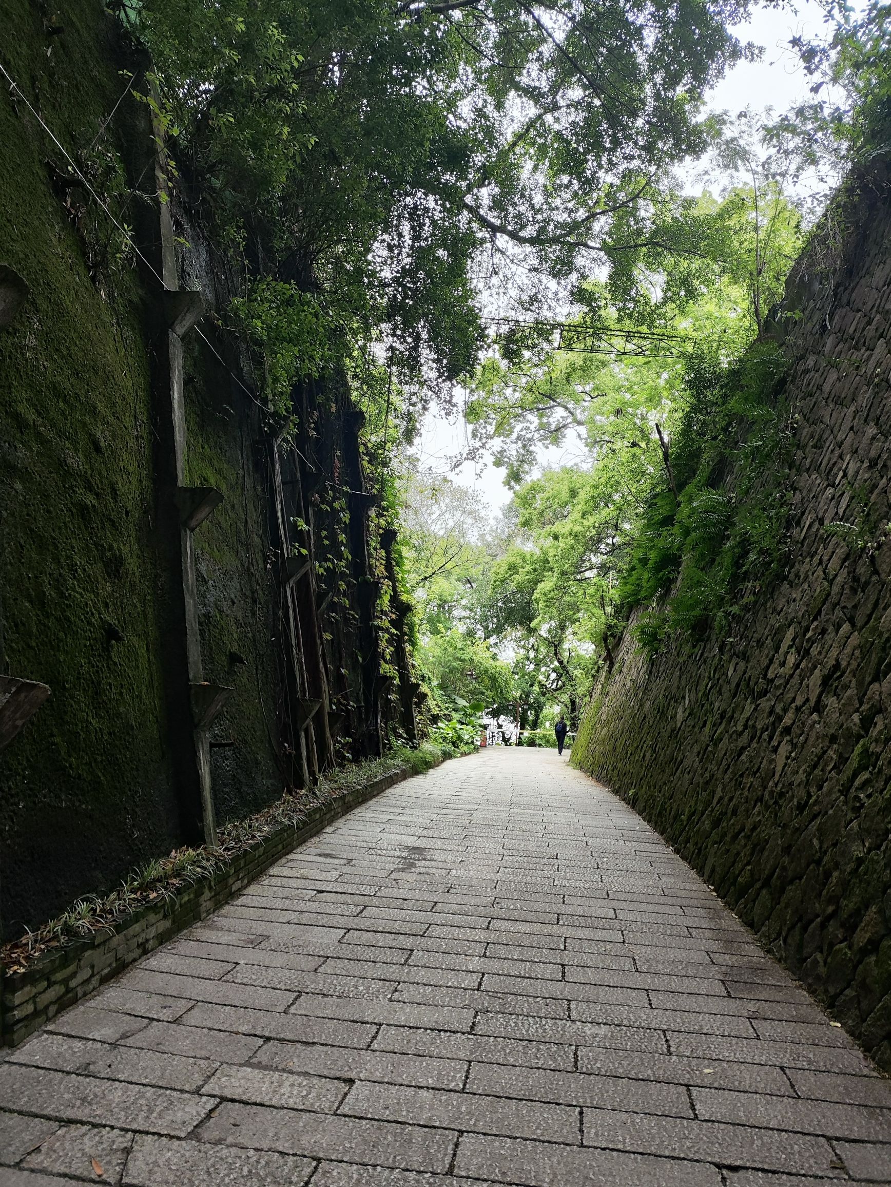 乌山历史风貌区旅行图片 3