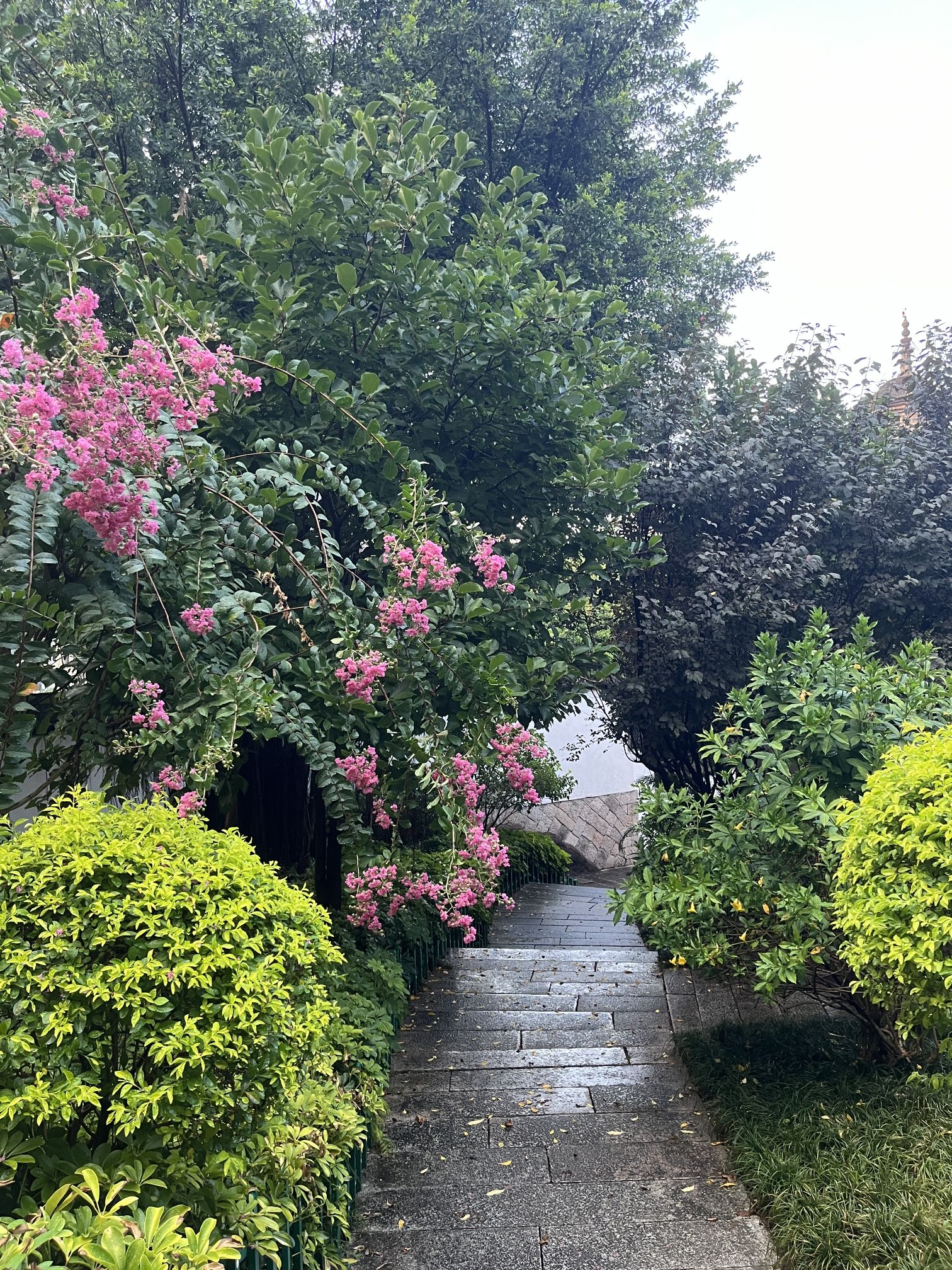 乌山历史风貌区旅行图片 2
