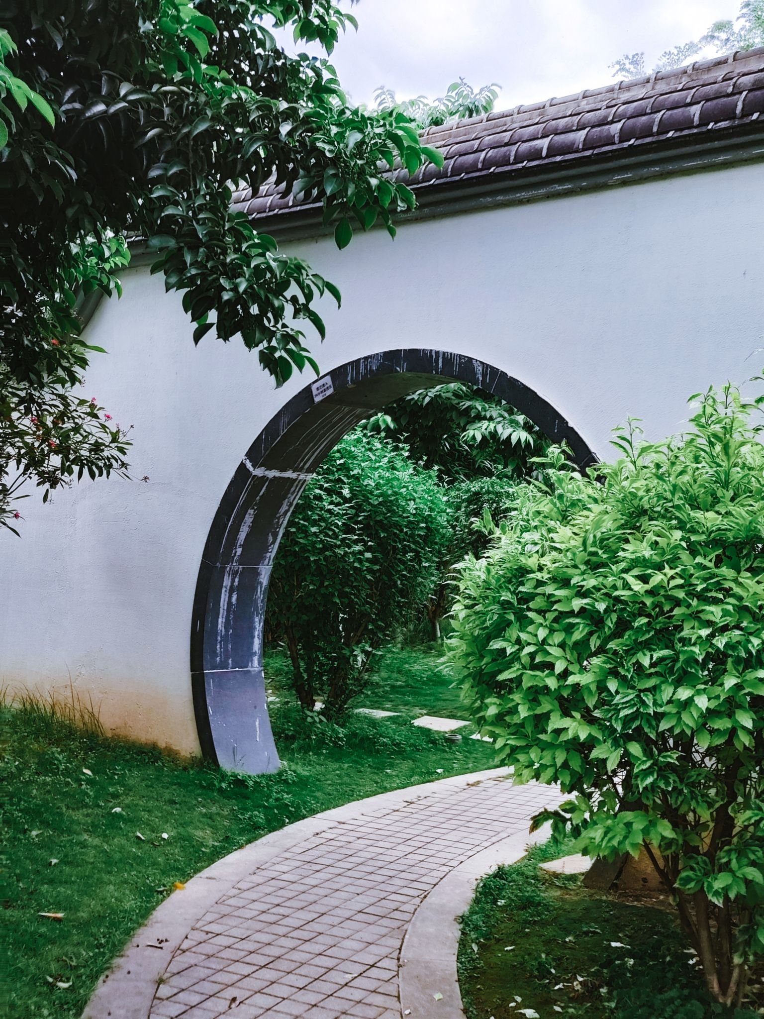 茶亭公园旅行图片 3