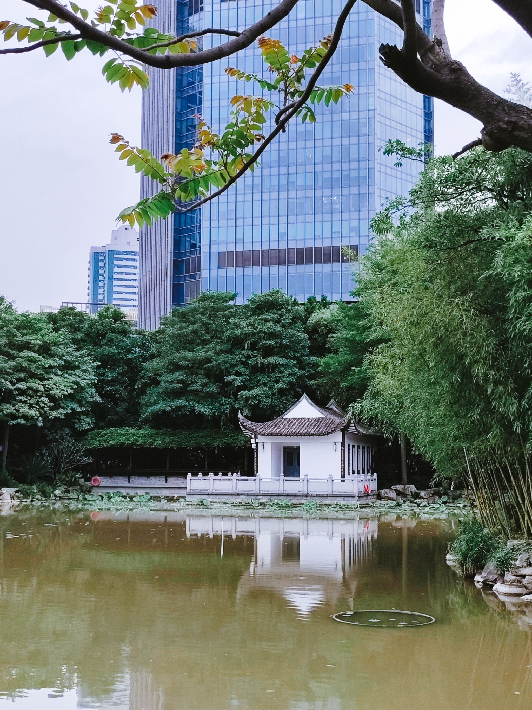茶亭公园旅行图片 1