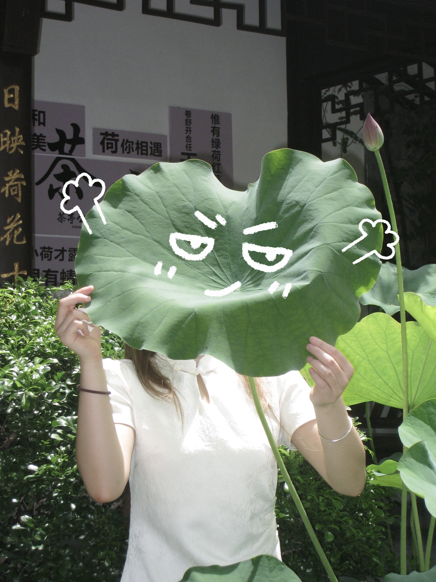 茶亭公园旅行图片 1