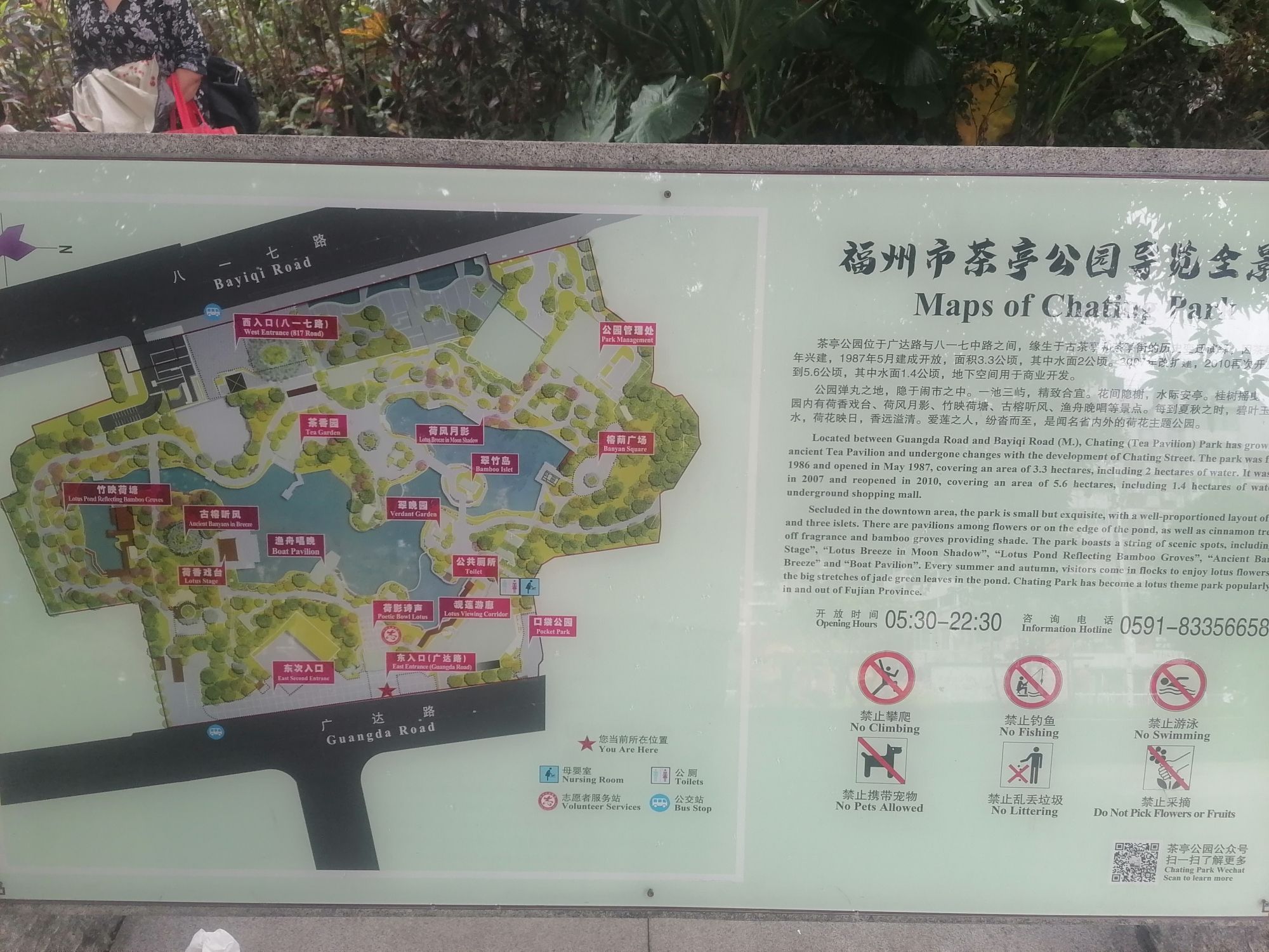 茶亭公园旅行图片 3