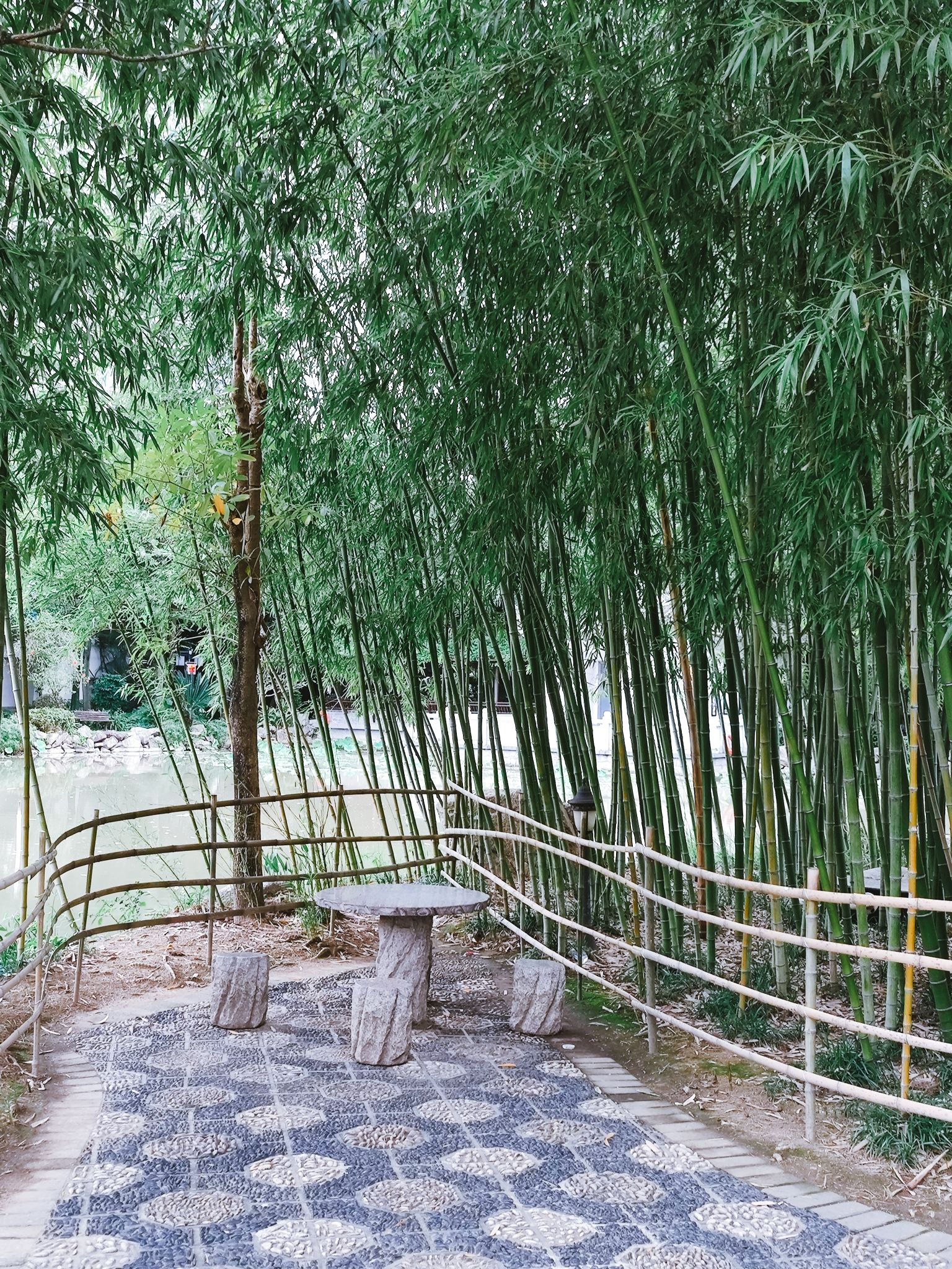 茶亭公园旅行图片 2