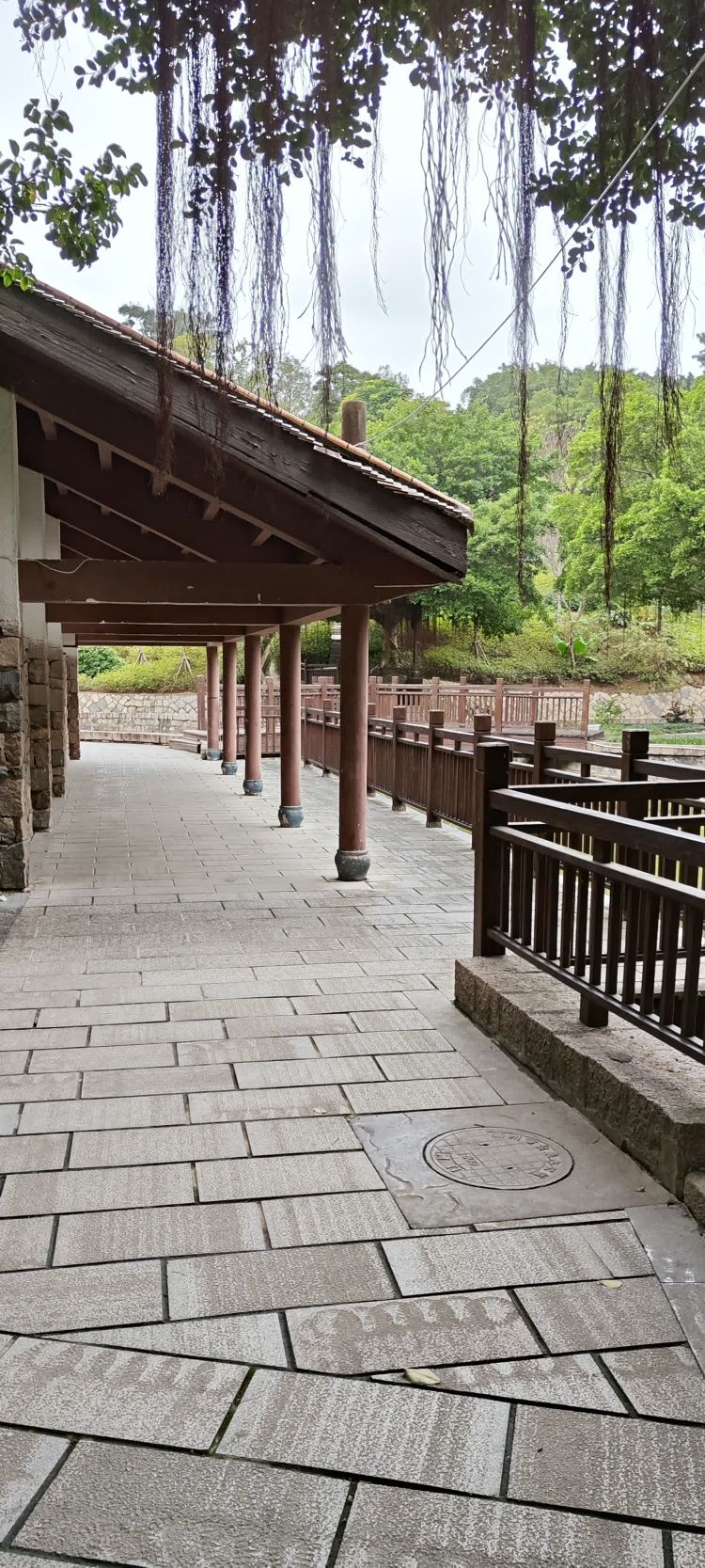 郑和公园旅行图片 2
