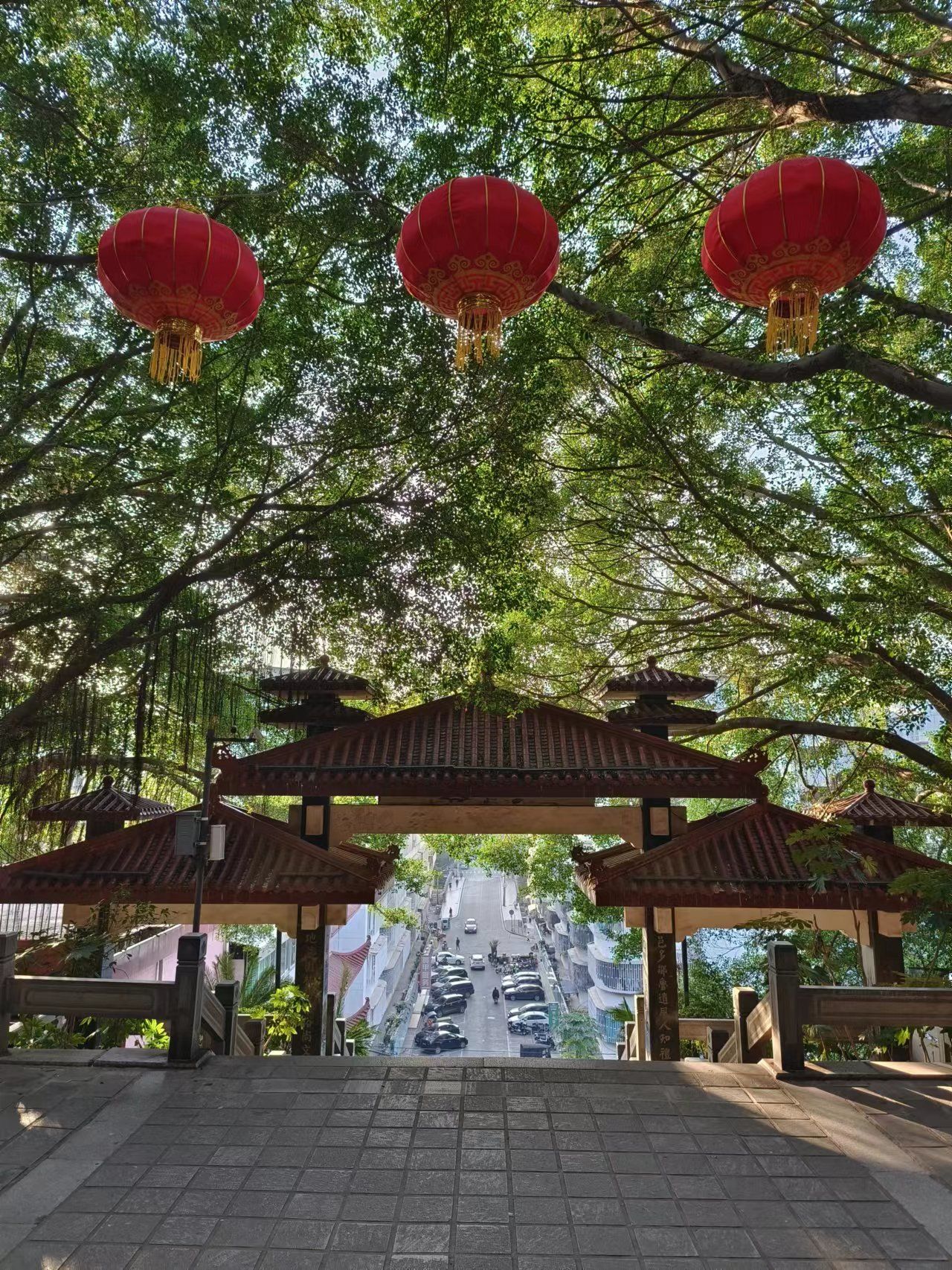 郑和公园旅行图片 2
