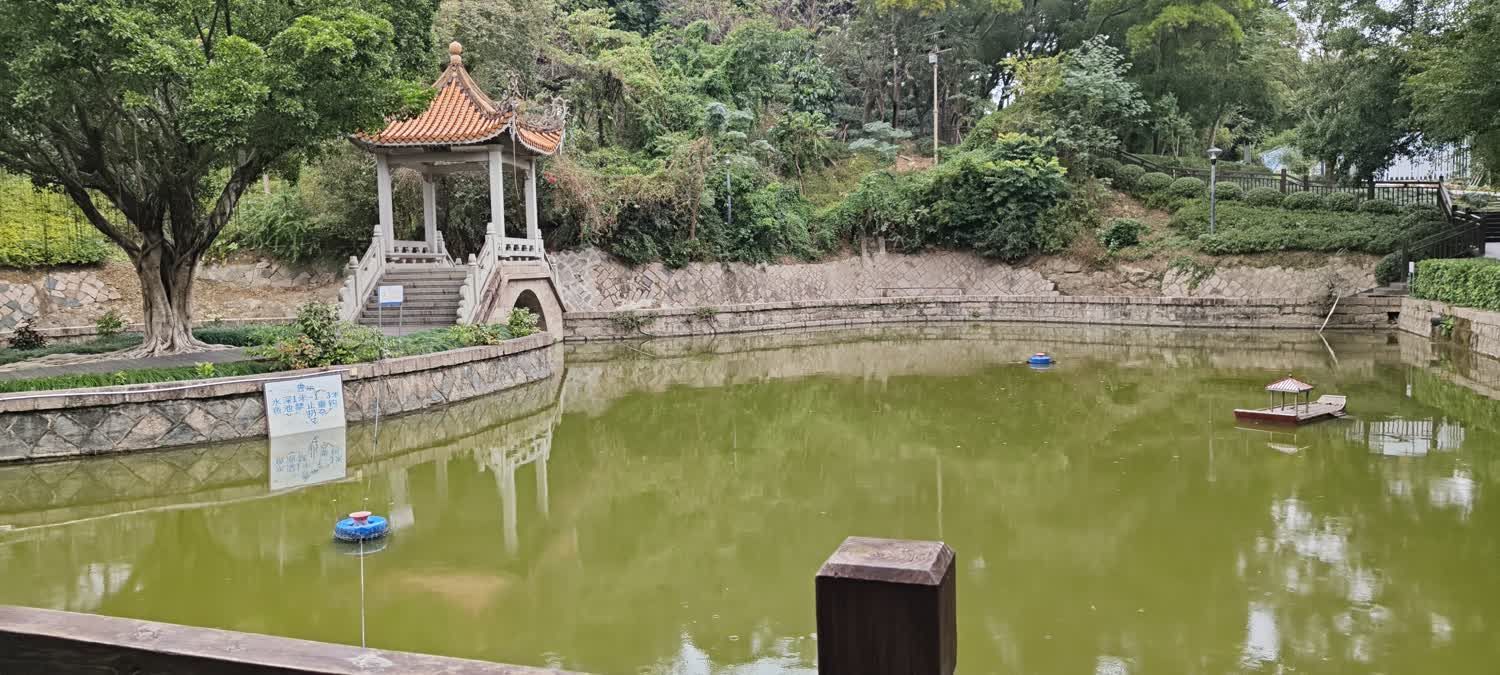 郑和公园旅行图片 3