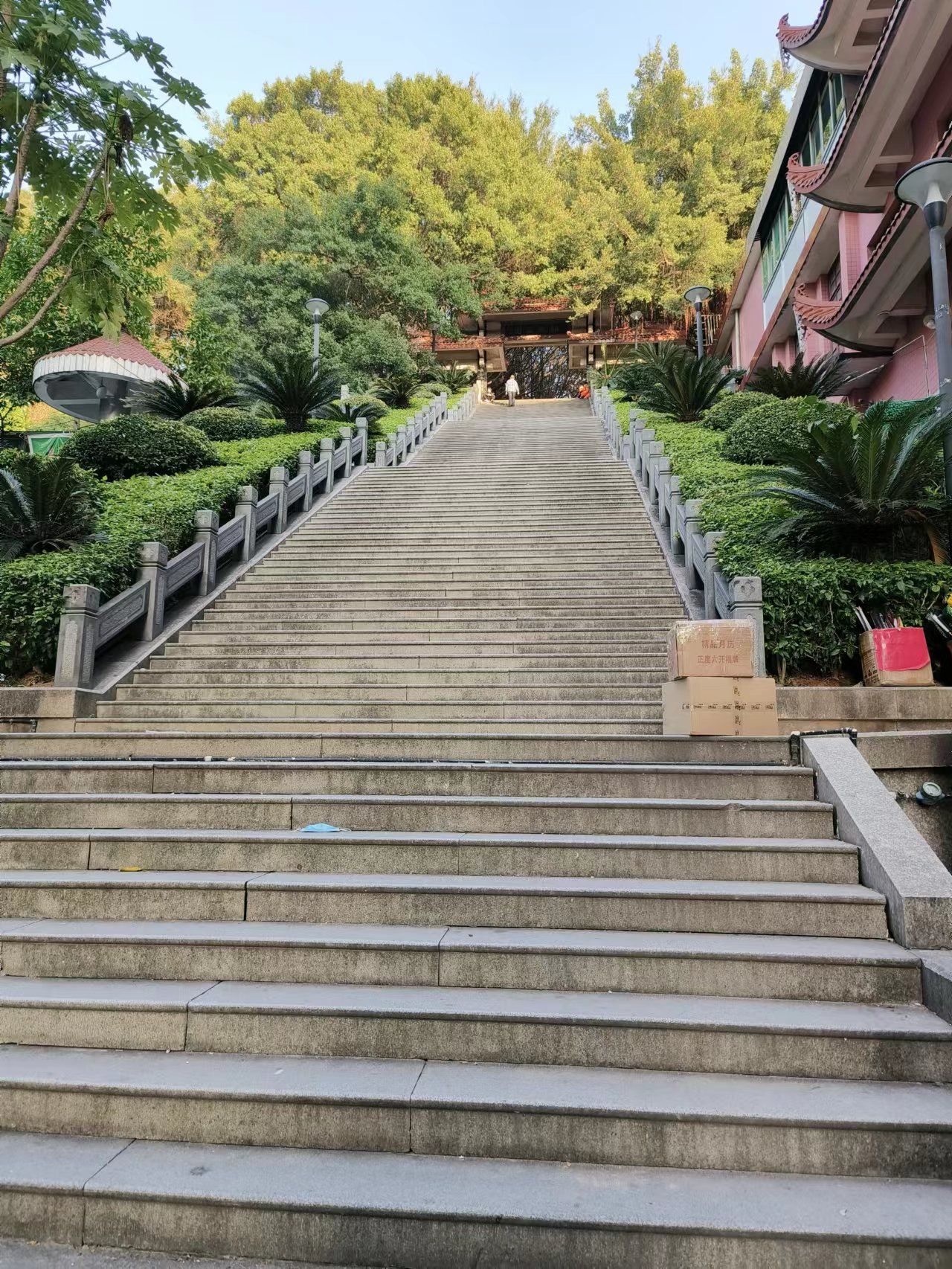 郑和公园旅行图片 1