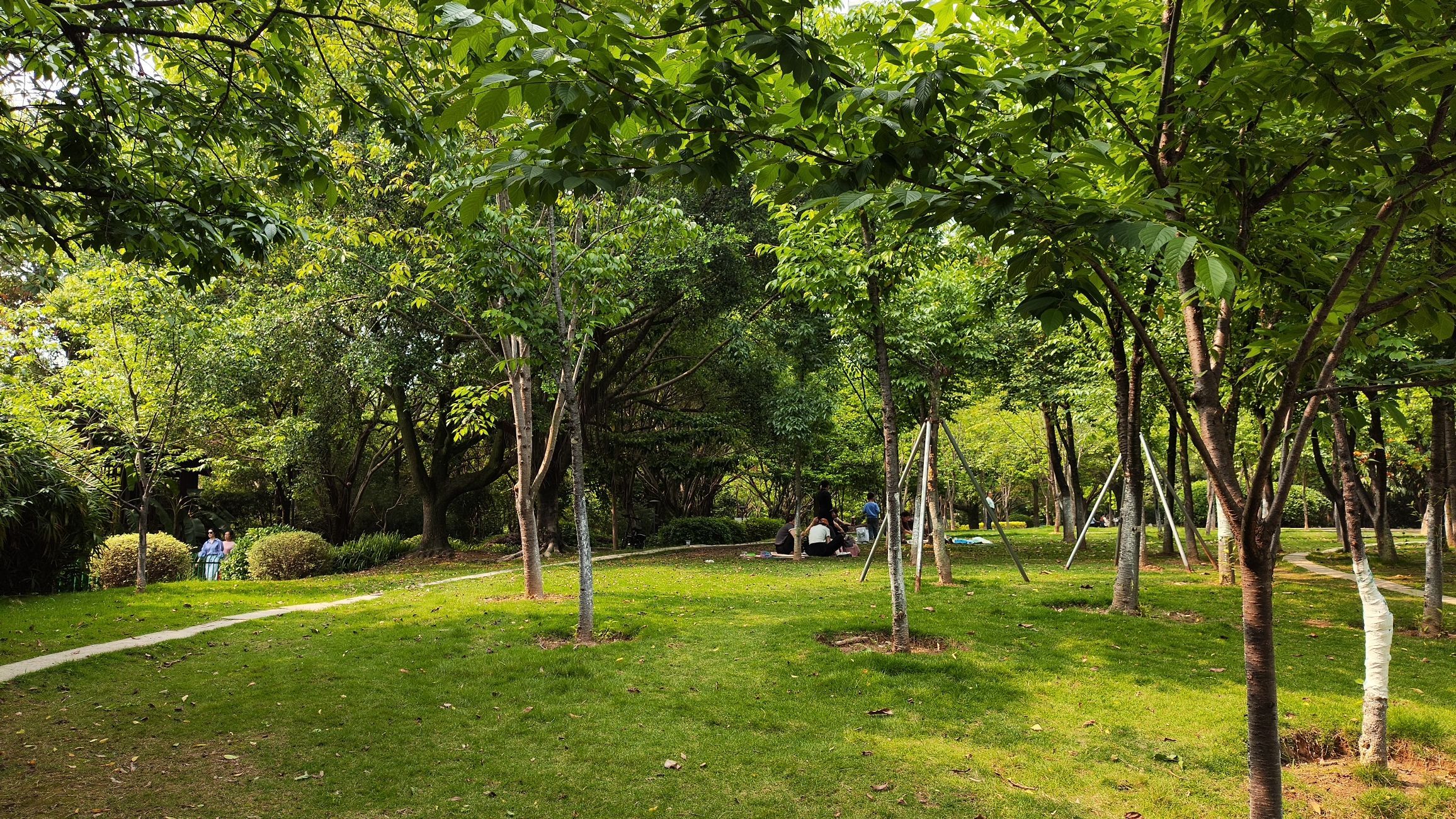 金山公园旅行图片 2