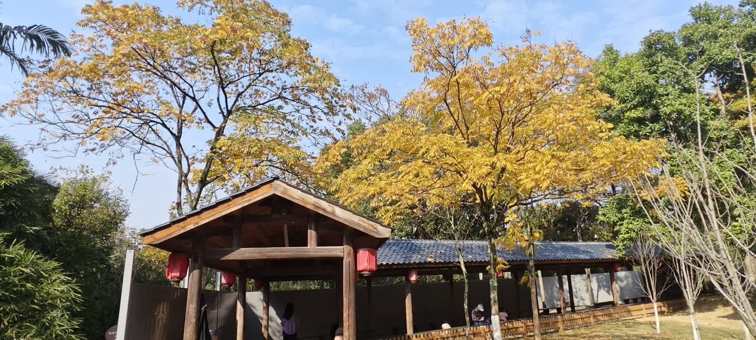 金山公园旅行图片 2