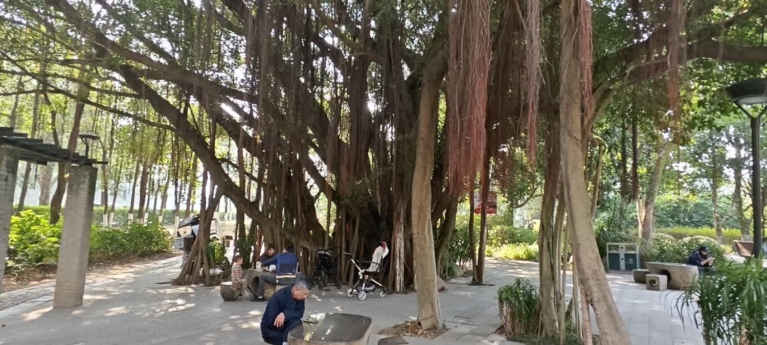 金山公园旅行图片 3