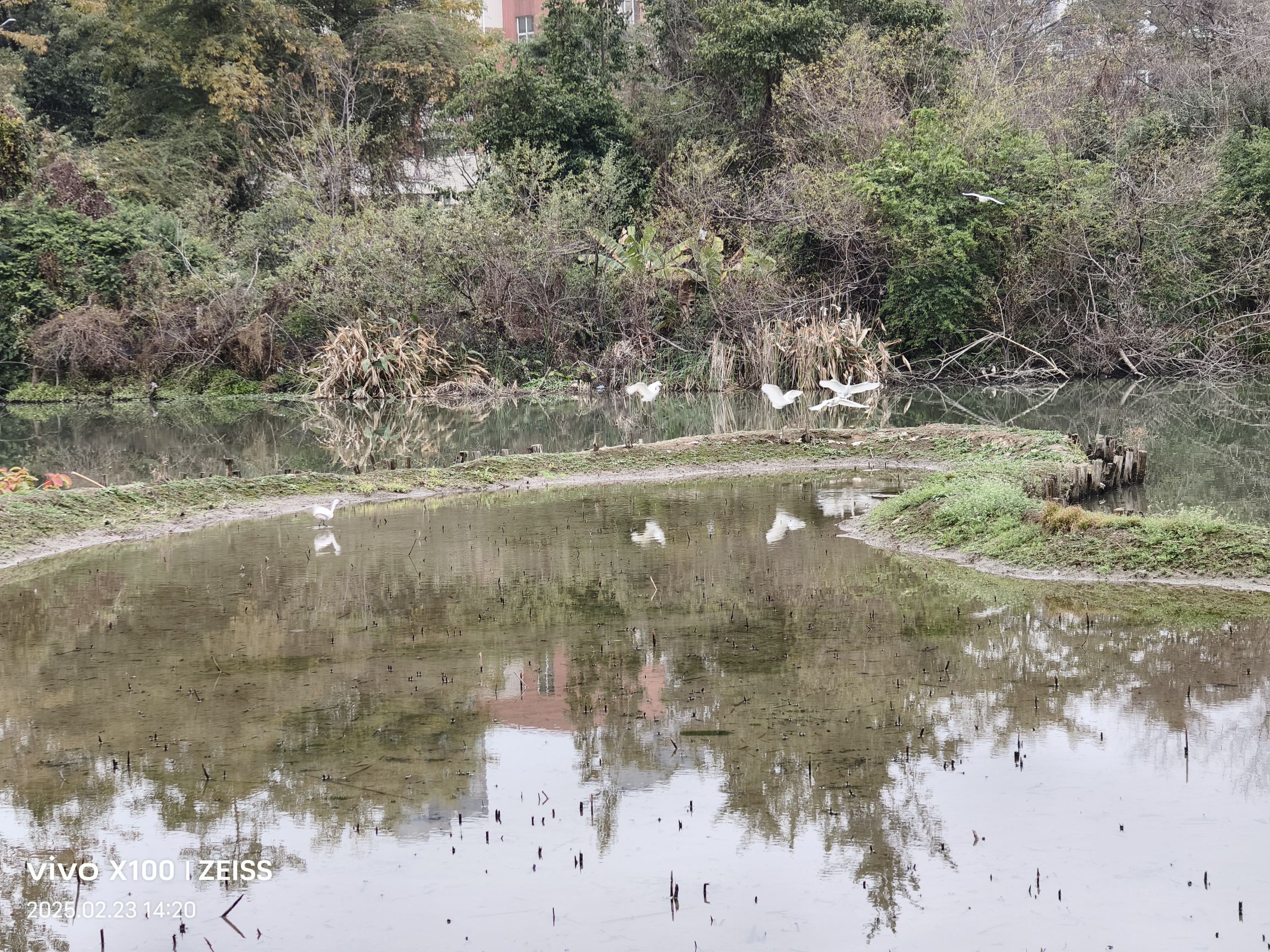金山公园旅行图片 3