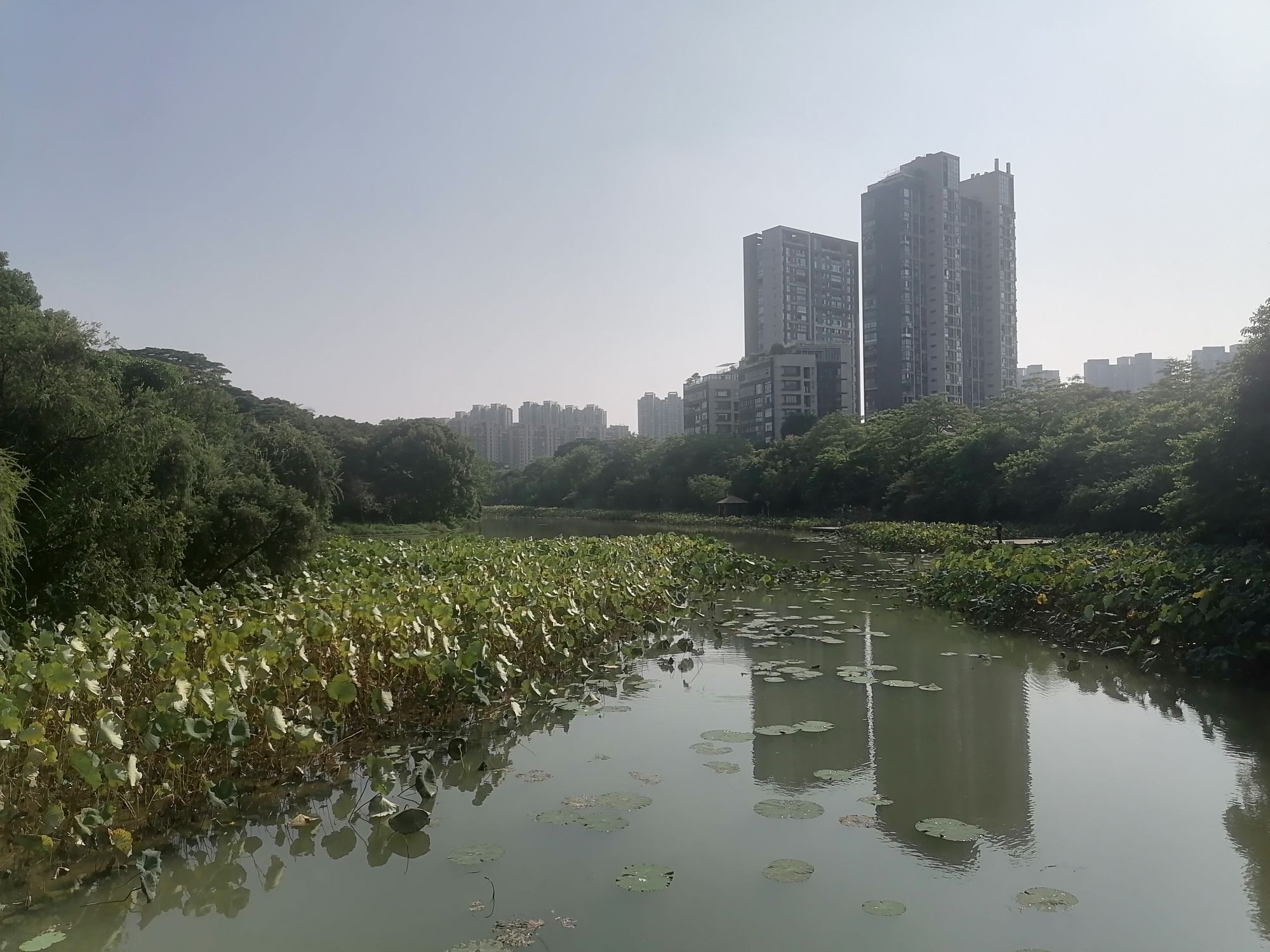 金山公园旅行图片 2