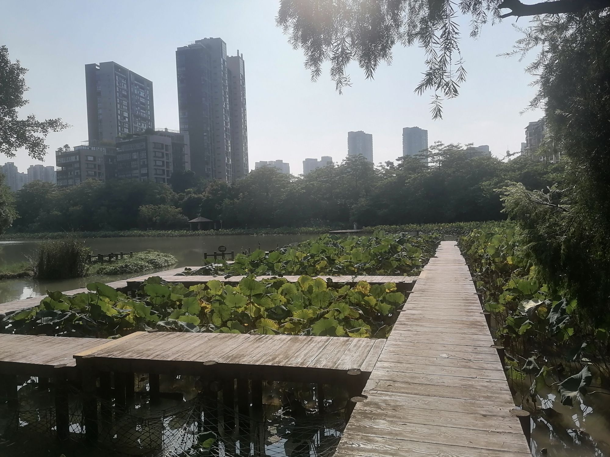 金山公园旅行图片 3