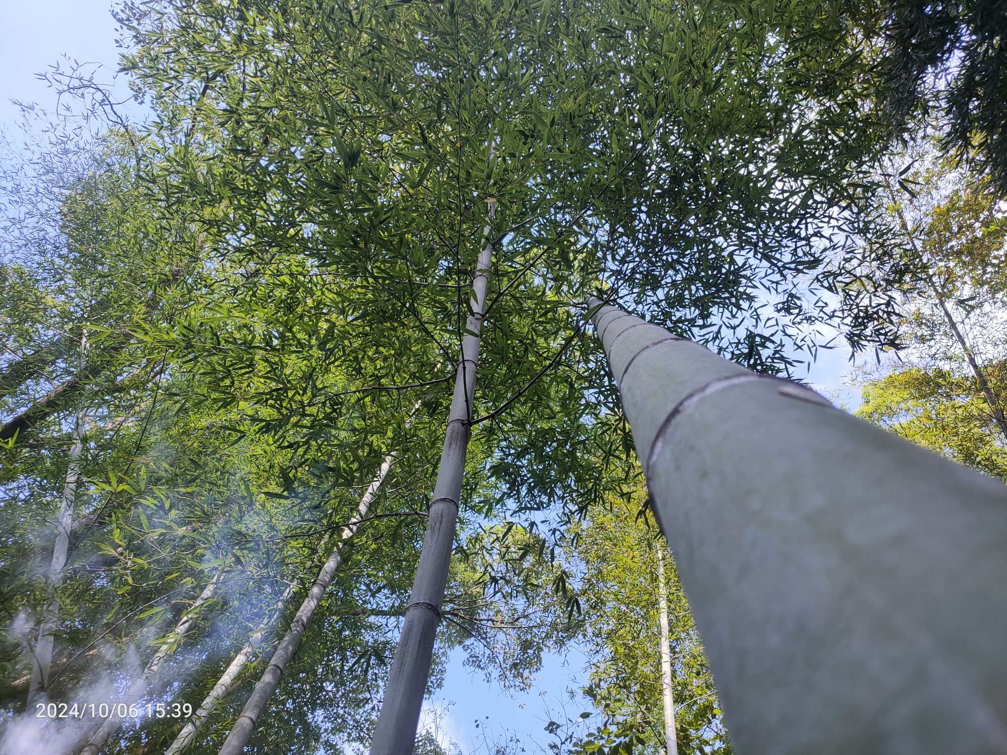 禾山风景区旅行图片 2
