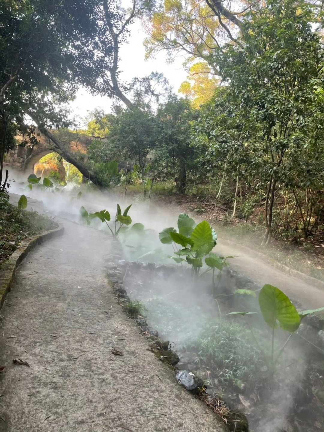 猴屿洞天岩景区旅行图片 1