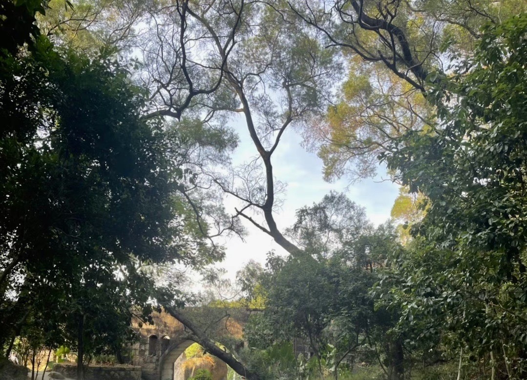 猴屿洞天岩景区旅行图片 3