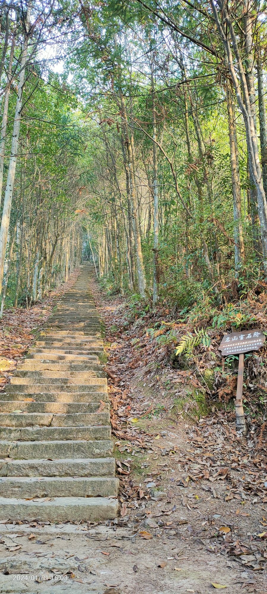 名山室旅行图片 3