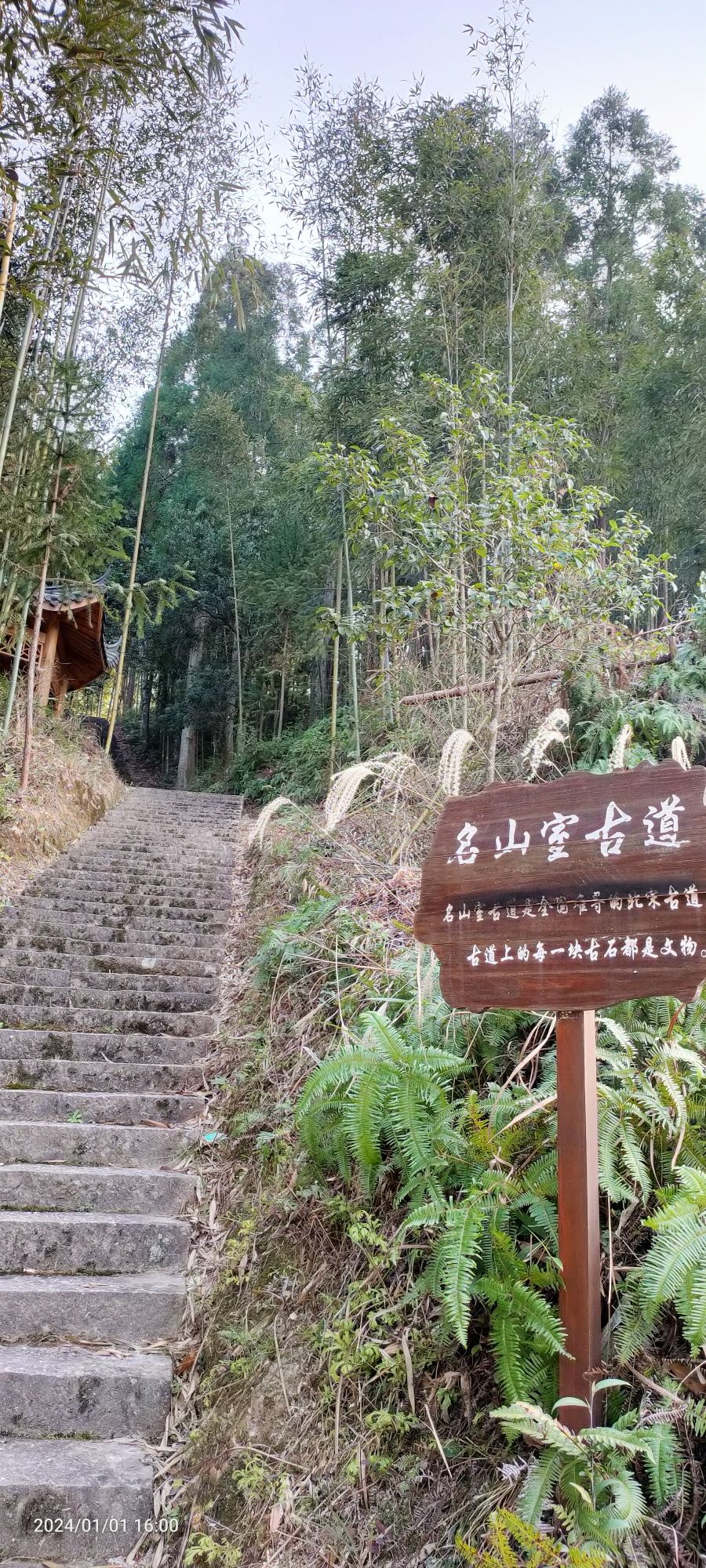 名山室旅行图片 2