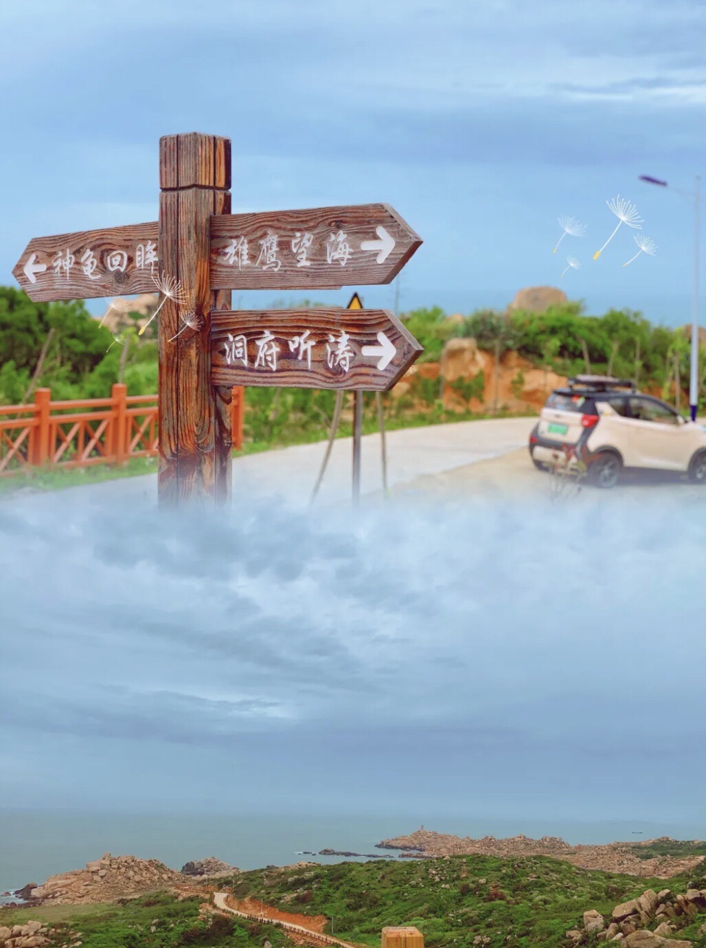 青观顶石林旅行图片